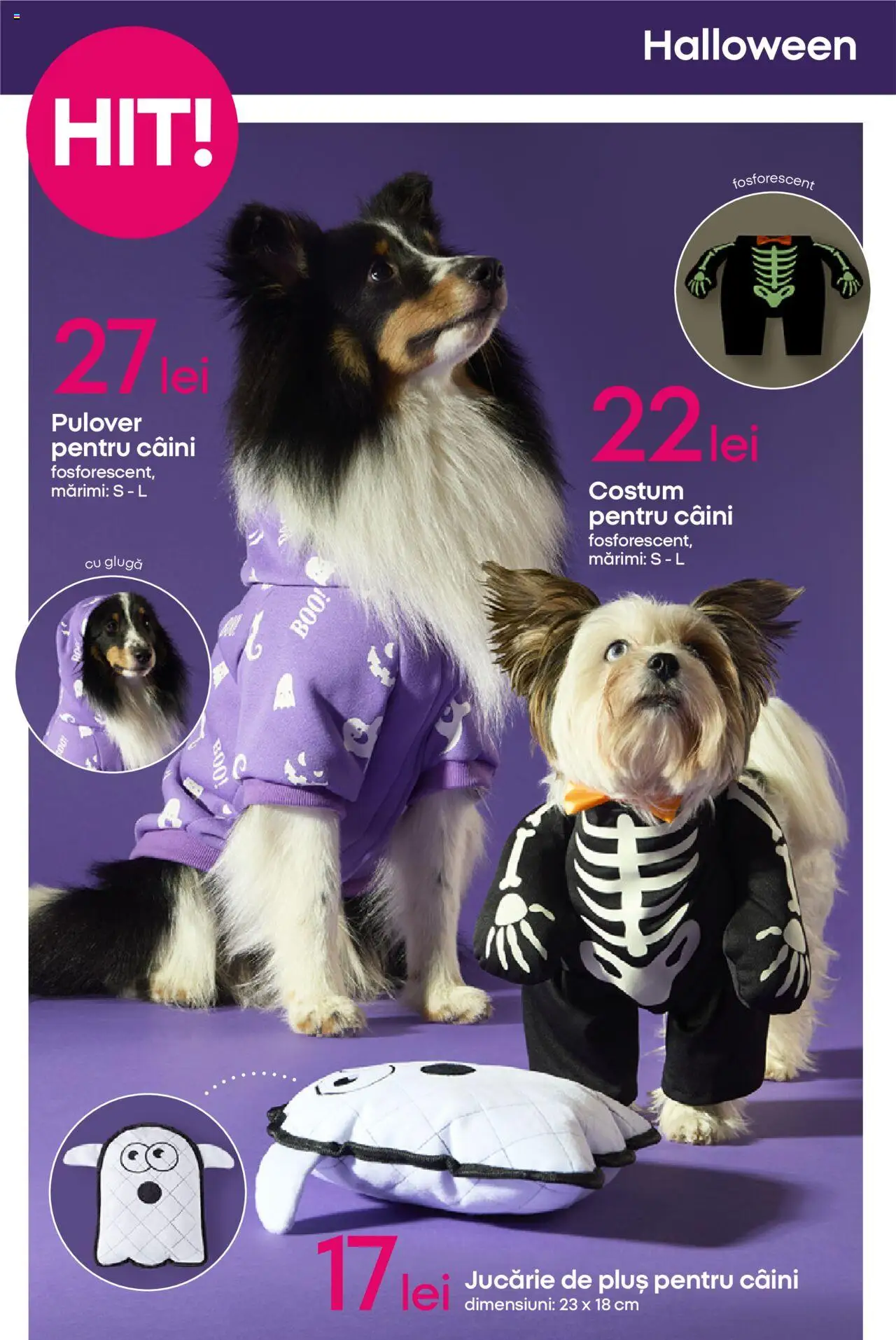 Catalog Pepco 25 - 30 Septembrie 2025 | Pagina 12 | Produse: Pulover, Costum