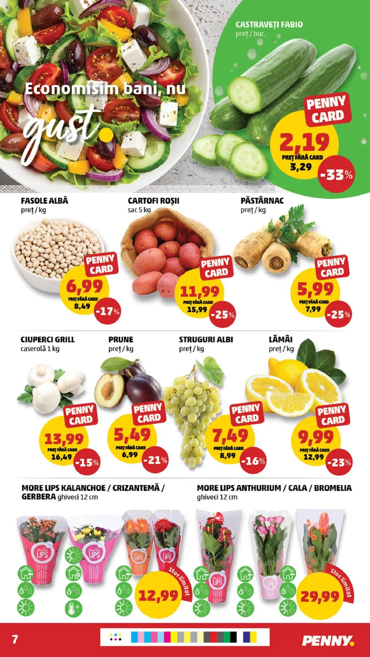 Catalog PENNY Market 24 - 29 Septembrie 2025 | Pagina 7 | Produse: Grill, Ghiveci, Ciuperci, Roșii