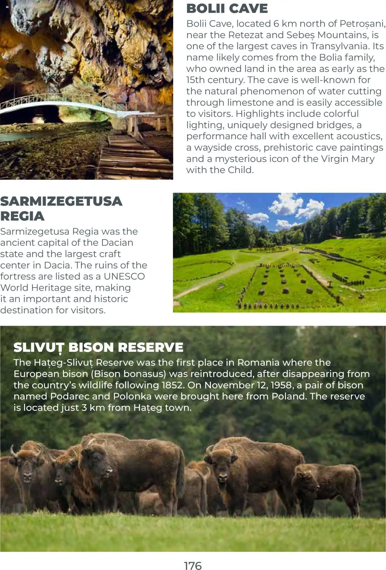 Catalog METRO 23 Septembrie 2025 - 30 Ianuarie 2026 | Pagina 176