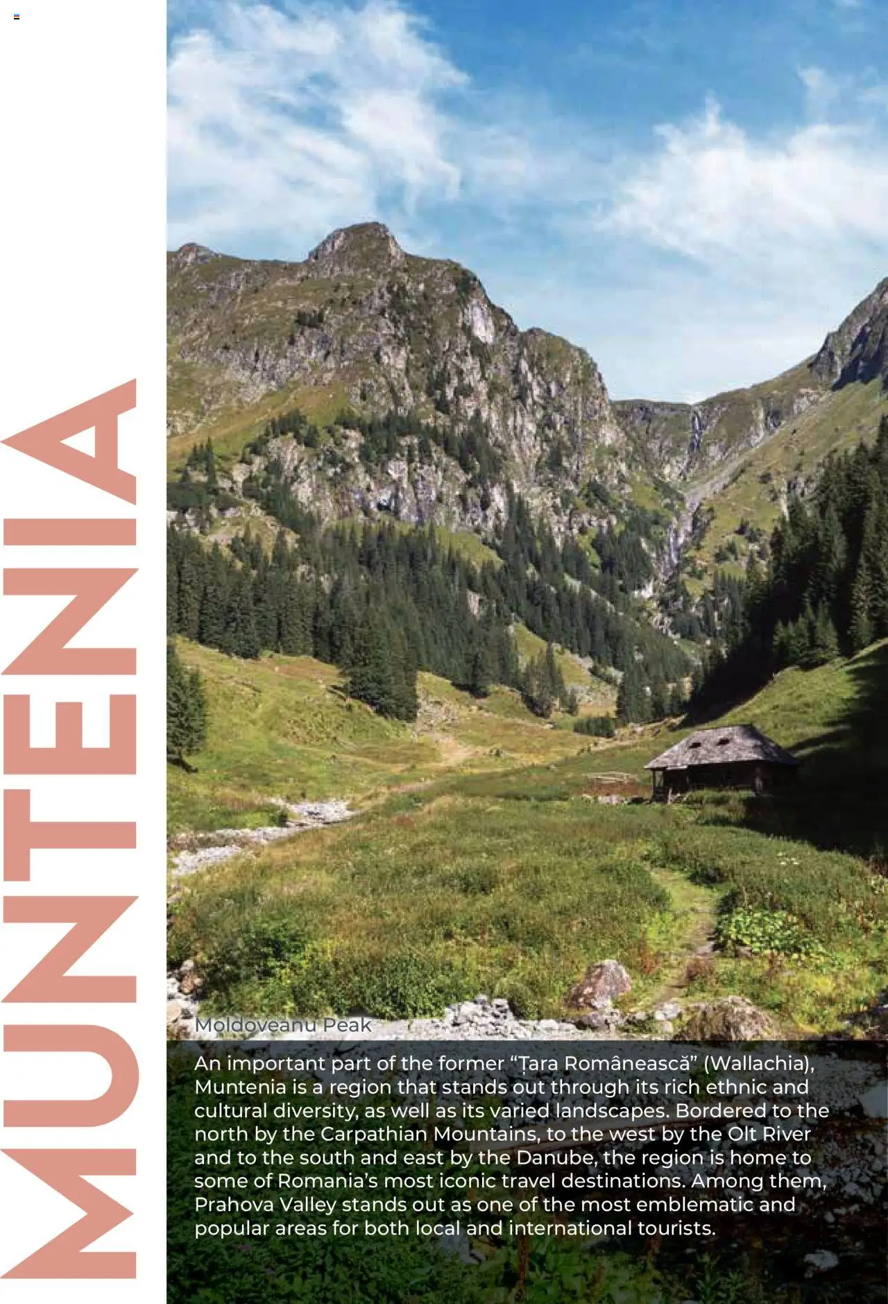 Catalog METRO 23 Septembrie 2025 - 30 Ianuarie 2026 | Pagina 24