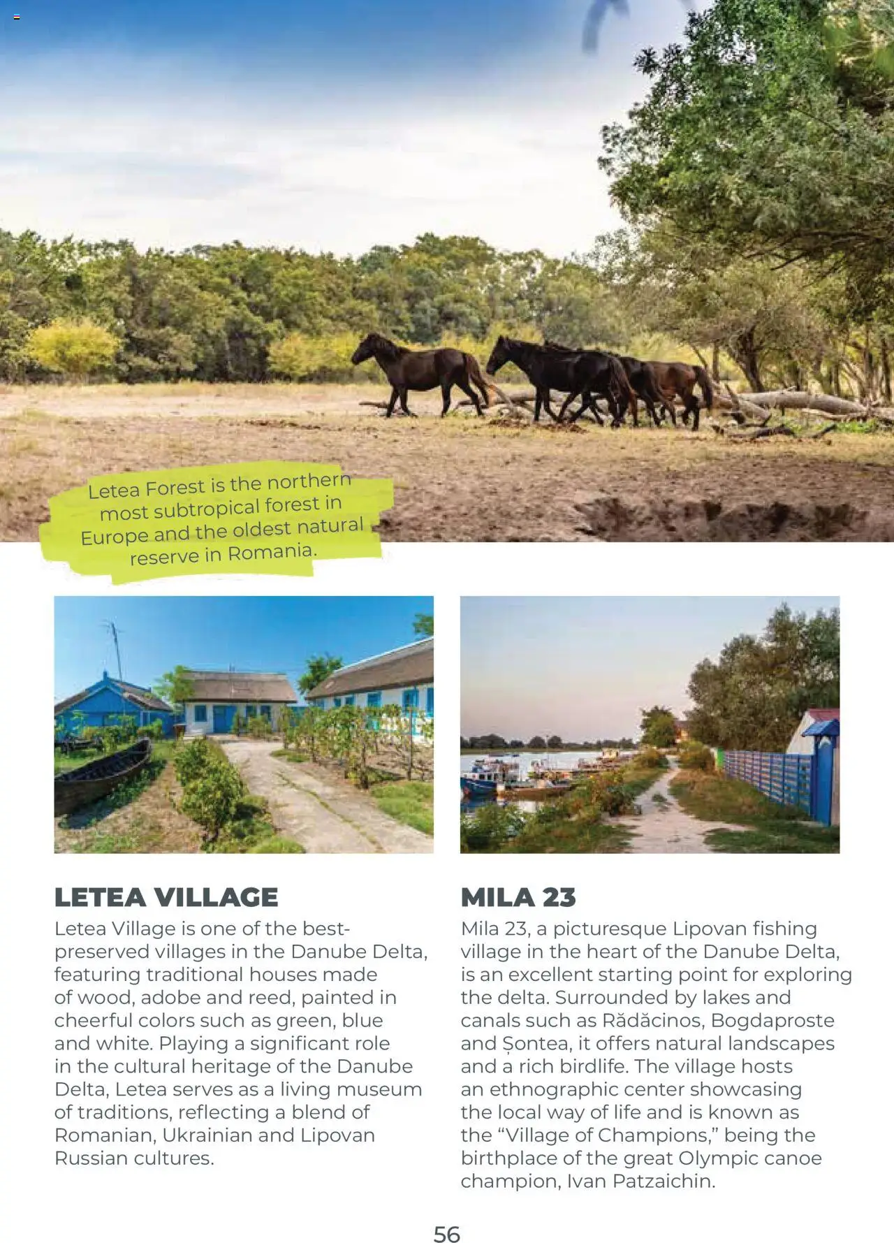 Catalog METRO 23 Septembrie 2025 - 30 Ianuarie 2026 | Pagina 56 | Produse: Role