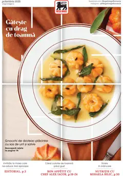 Catalog Mega Image