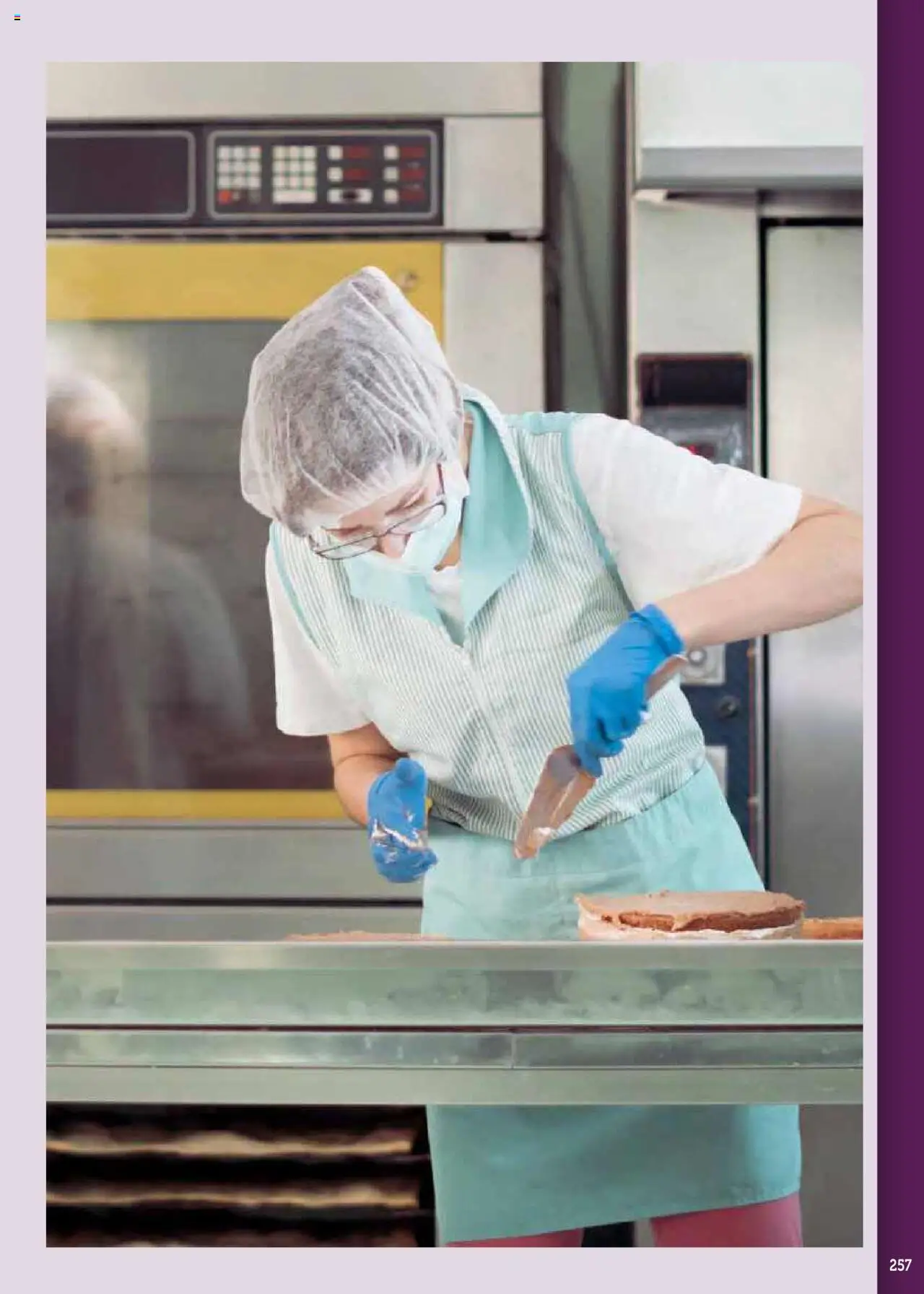 Catalog METRO 17 Septembrie 2025 - 30 Decembrie 2026 | Pagina 257