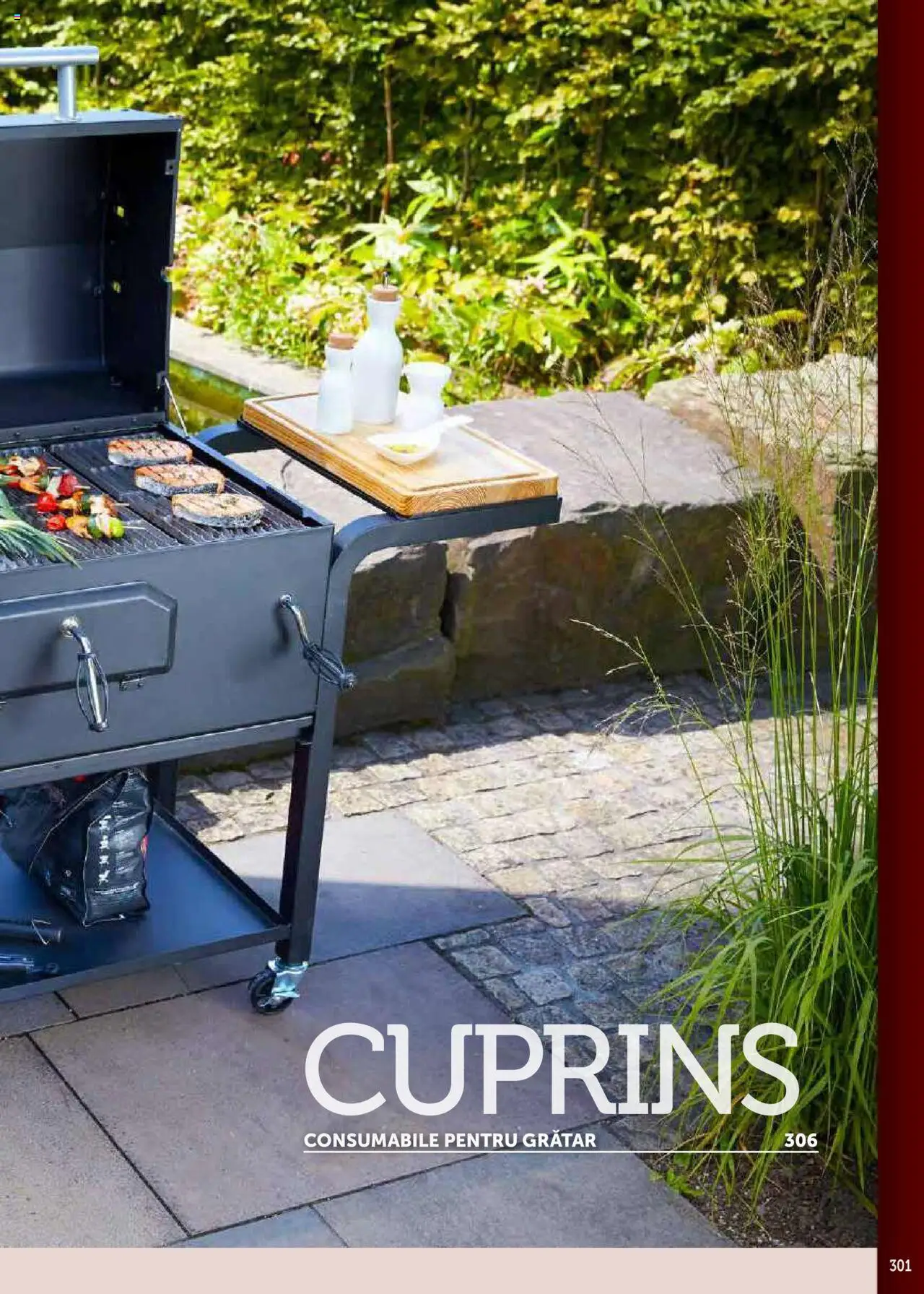 Catalog METRO 17 Septembrie 2025 - 30 Decembrie 2026 | Pagina 301 | Produse: Grătar