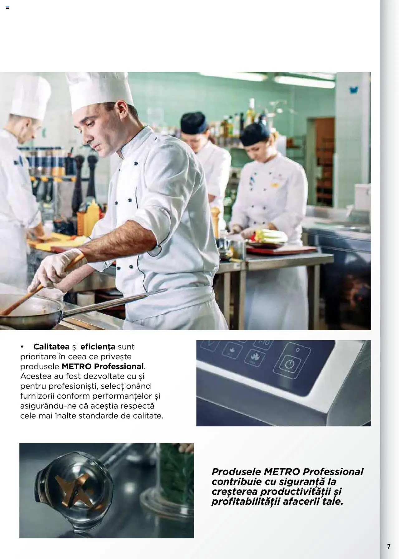 Catalog METRO 17 Septembrie 2025 - 30 Decembrie 2026 | Pagina 7