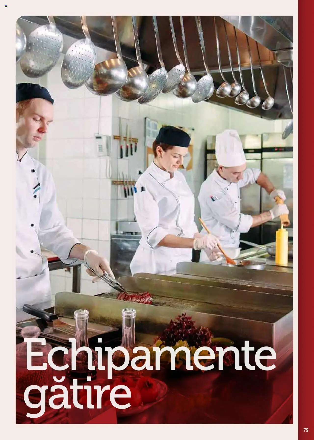 Catalog METRO 17 Septembrie 2025 - 30 Decembrie 2026 | Pagina 79