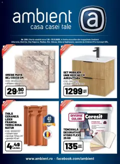 Catalog Ambient