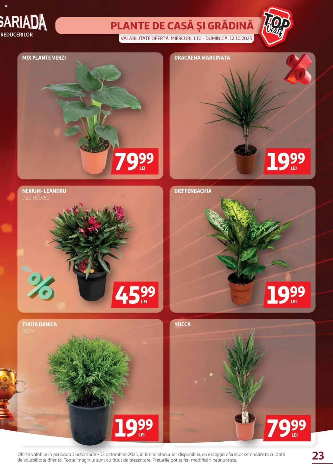 Catalog Auchan 1 - 11 Octombrie 2025 | Pagina 23