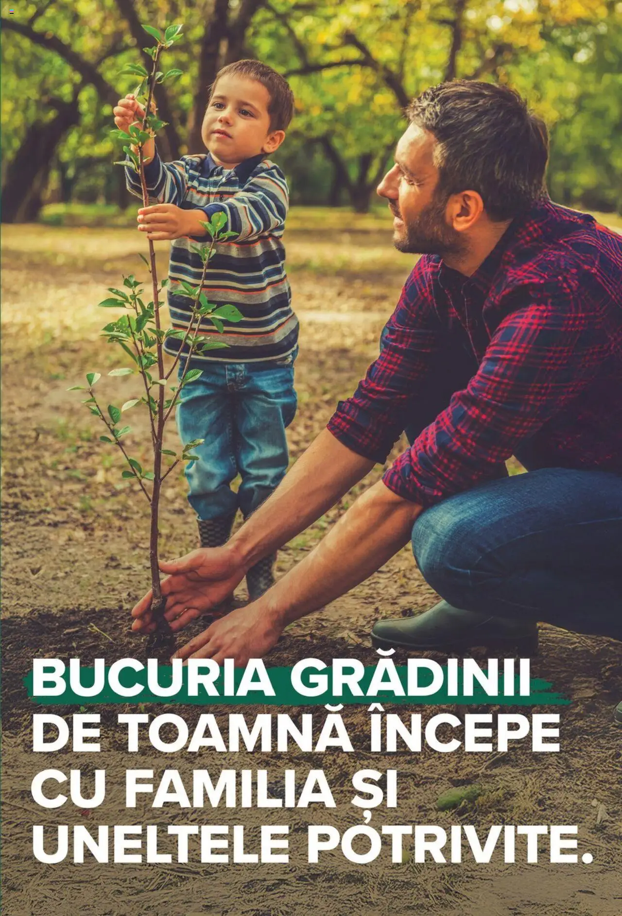 Catalog Carrefour 24 Septembrie - 27 Octombrie 2025 | Pagina 53