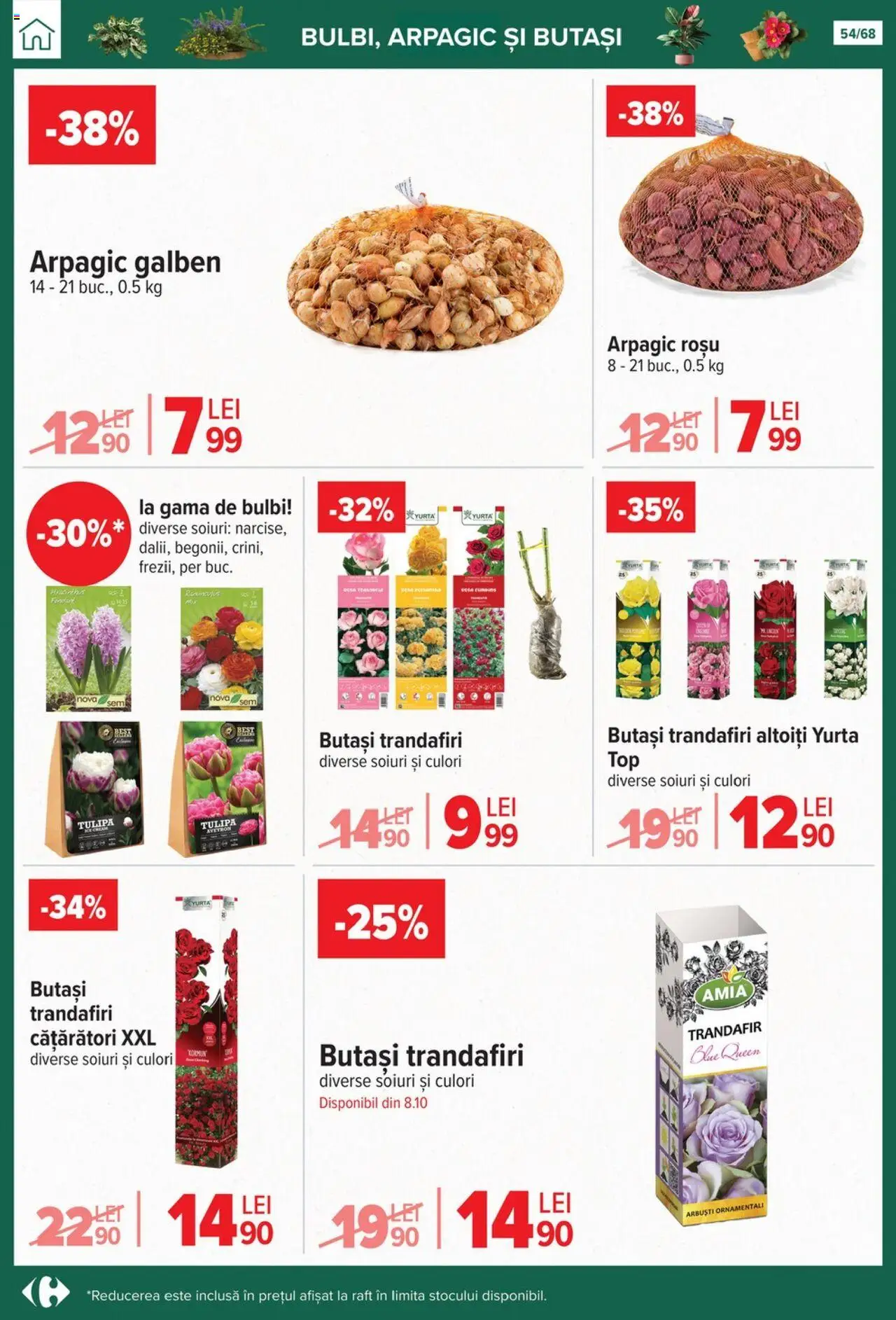 Catalog Carrefour 24 Septembrie - 27 Octombrie 2025 | Pagina 54 | Produse: Trandafir, Raft