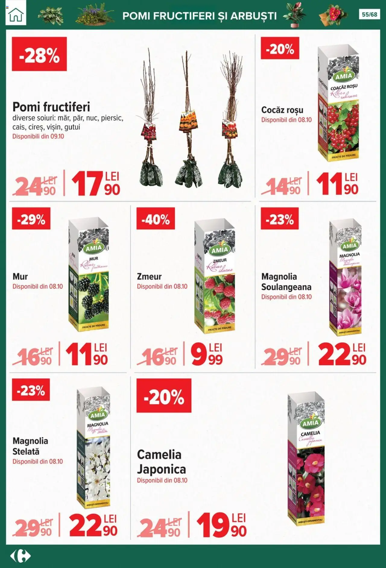 Catalog Carrefour 24 Septembrie - 27 Octombrie 2025 | Pagina 55 | Produse: Fructe