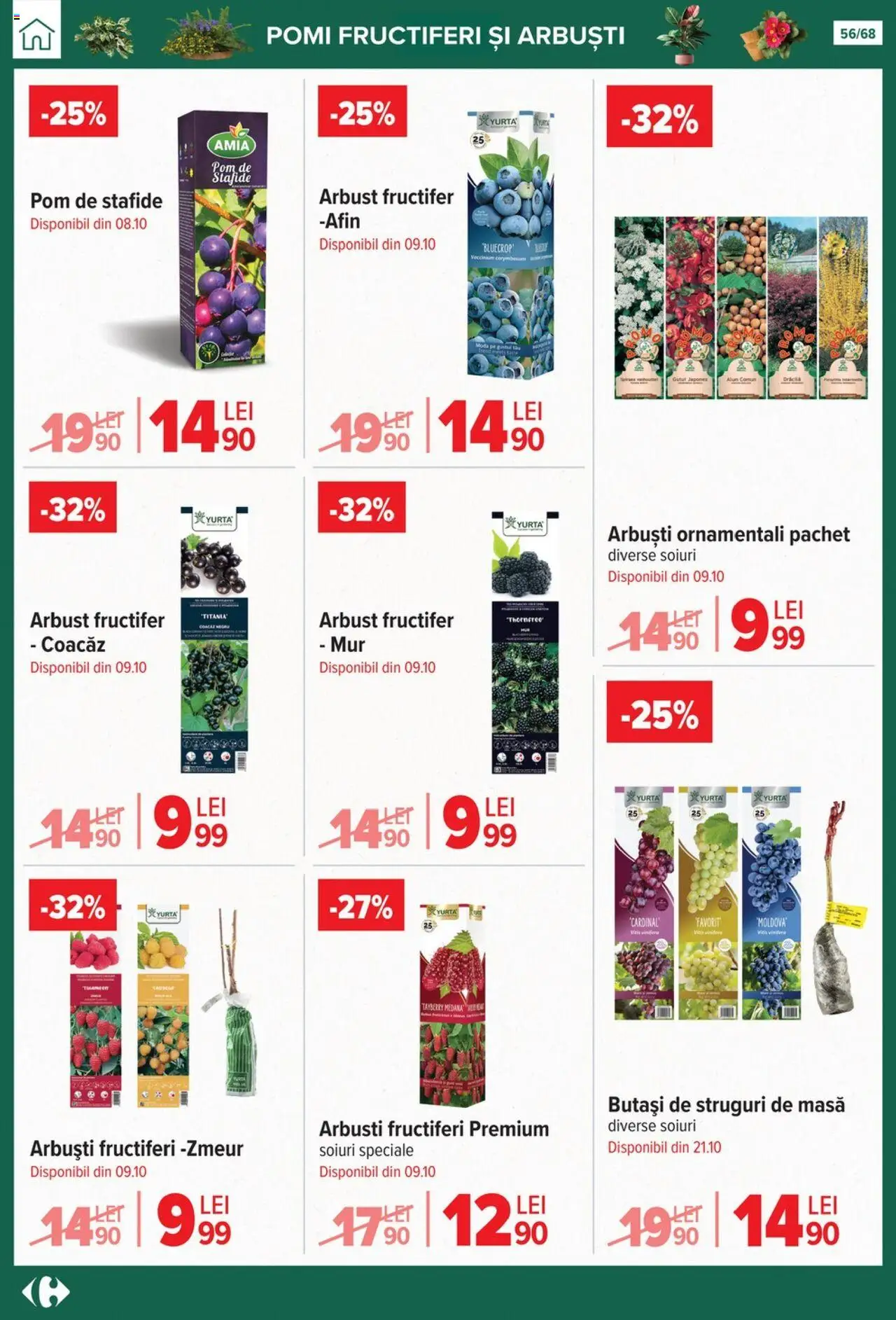 Catalog Carrefour 24 Septembrie - 27 Octombrie 2025 | Pagina 56 | Produse: Struguri, Masă, Stafide