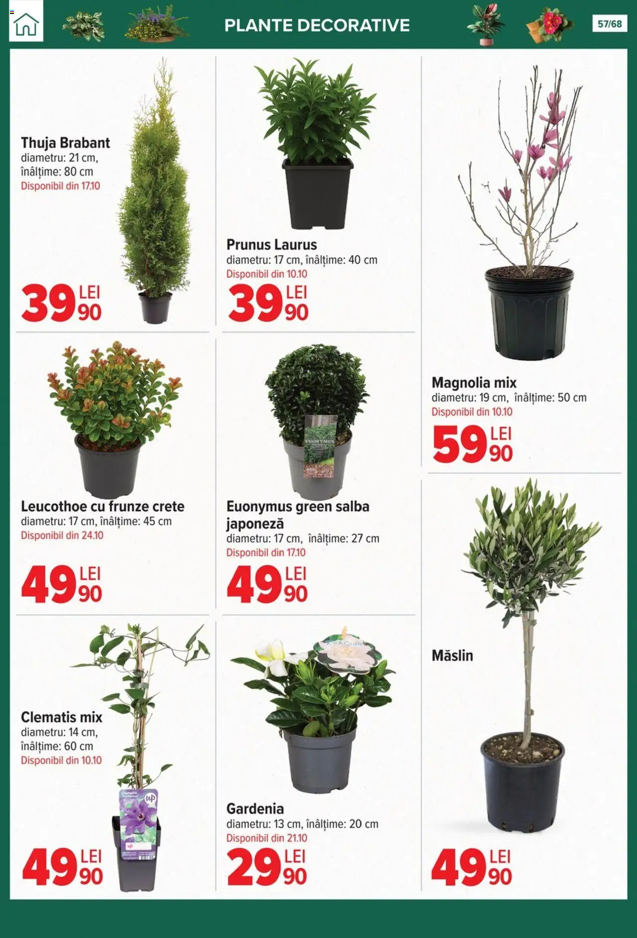 Catalog Carrefour 24 Septembrie - 27 Octombrie 2025 | Pagina 57