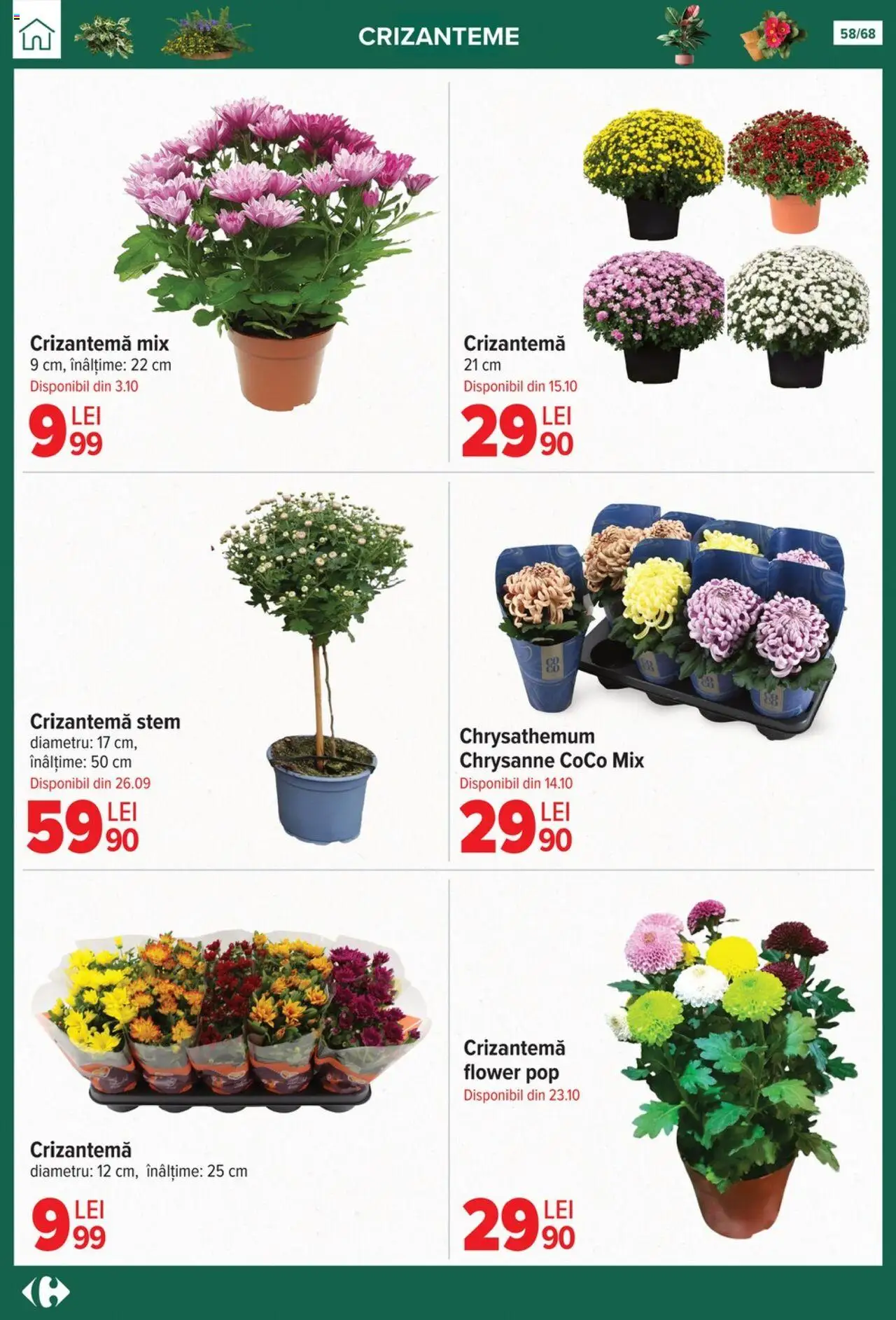 Catalog Carrefour 24 Septembrie - 27 Octombrie 2025 | Pagina 58