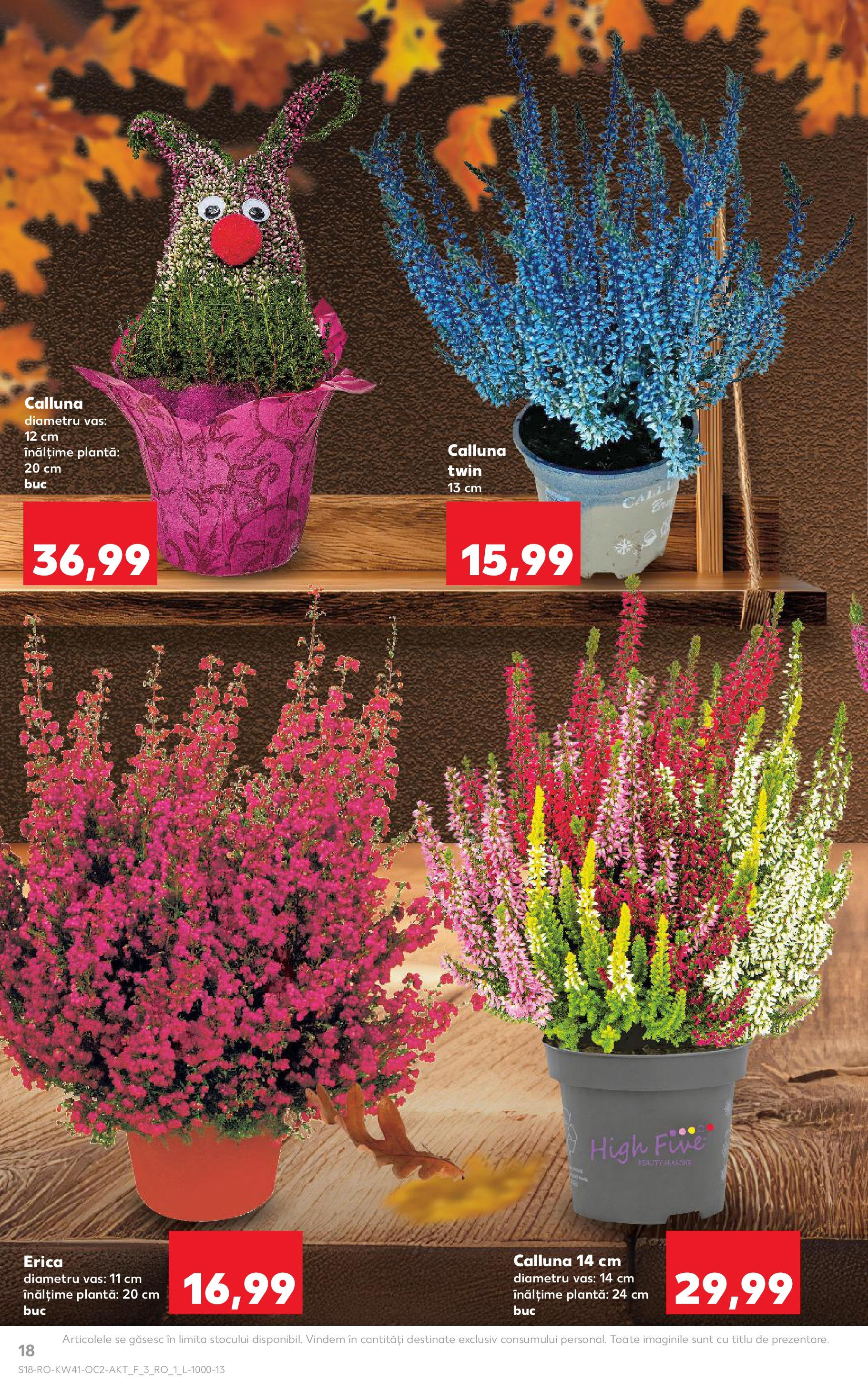 Catalog Kaufland 8 - 13 Octombrie 2025 | Pagina 18