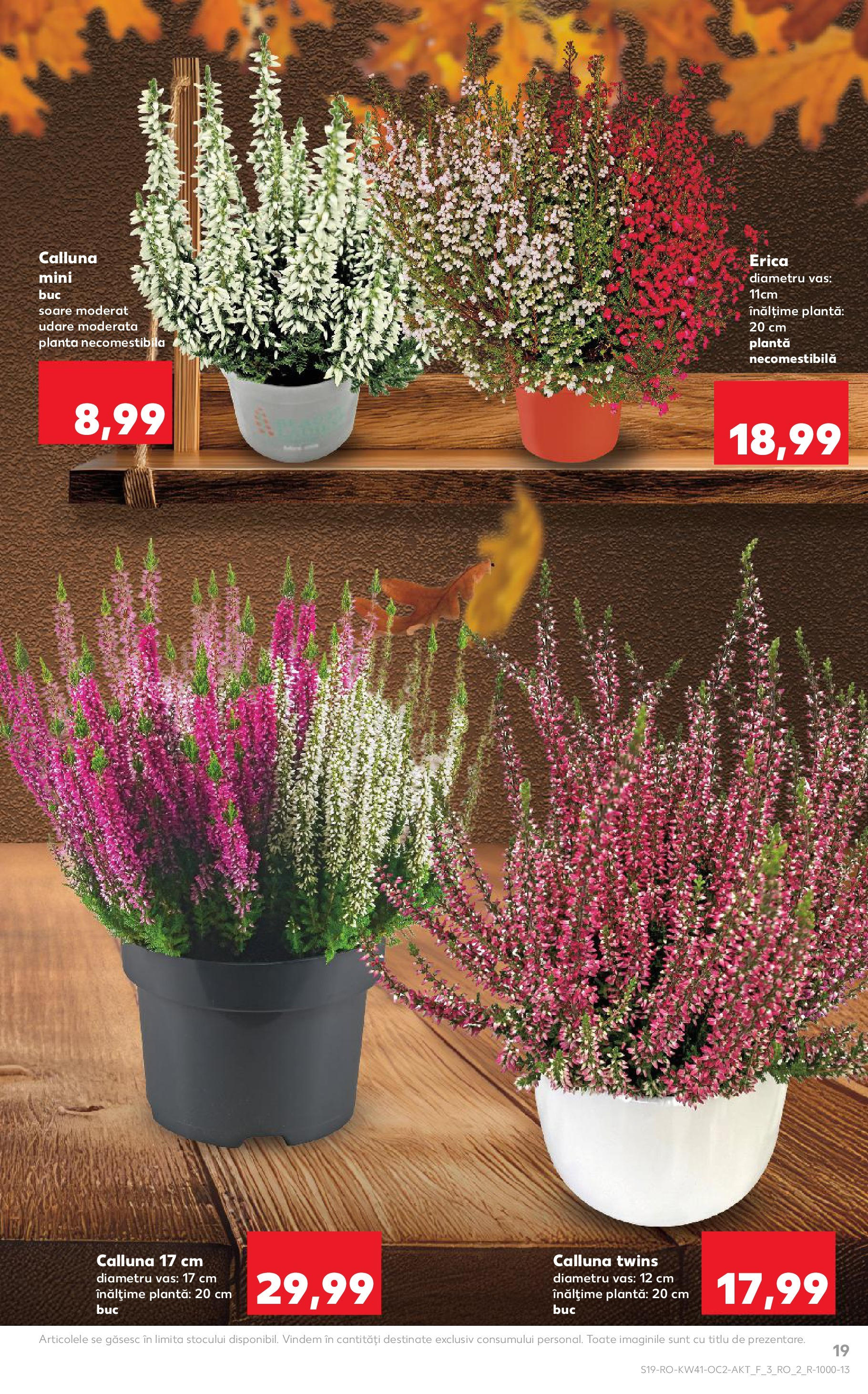 Catalog Kaufland 8 - 13 Octombrie 2025 | Pagina 19