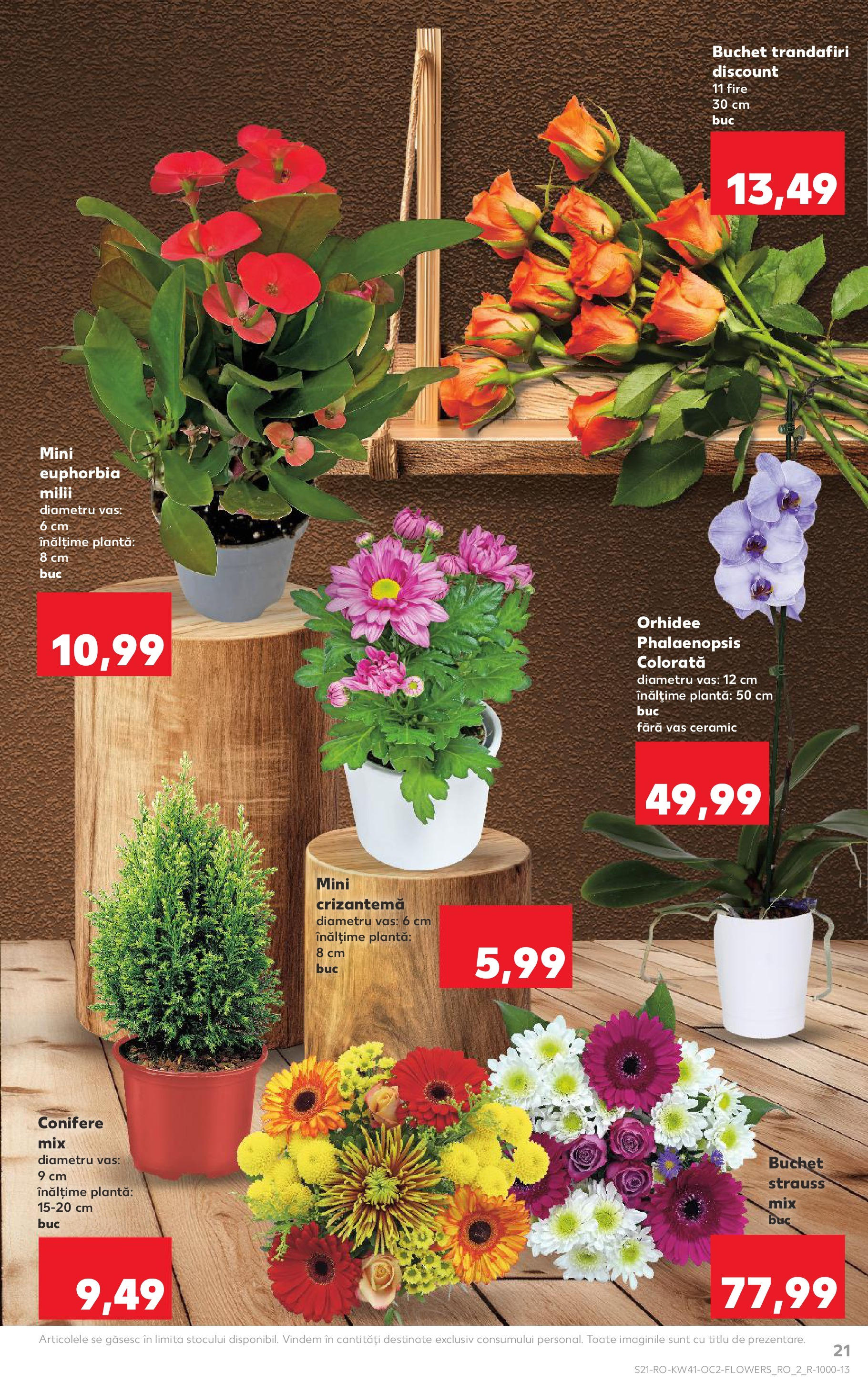 Catalog Kaufland 8 - 13 Octombrie 2025 | Pagina 21 | Produse: Orhidee