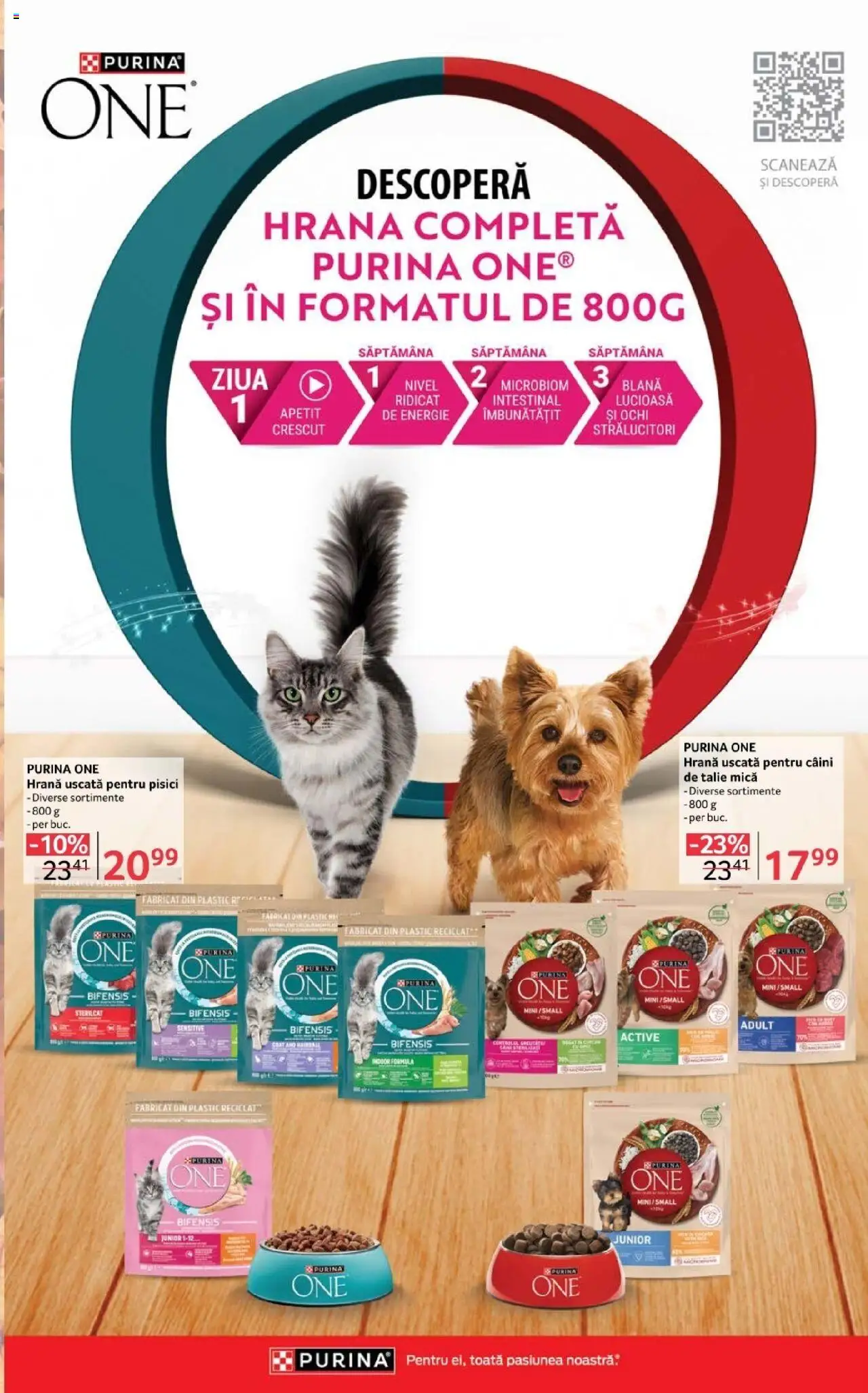 Catalog Selgros 3 - 15 Octombrie 2025 | Pagina 29 | Produse: Cort