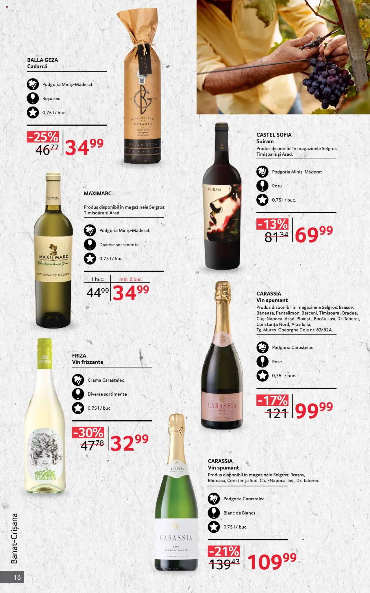 Catalog Selgros 1 - 30 Octombrie 2025 | Pagina 16 | Produse: Vin, Toplu Oyuncaklar
