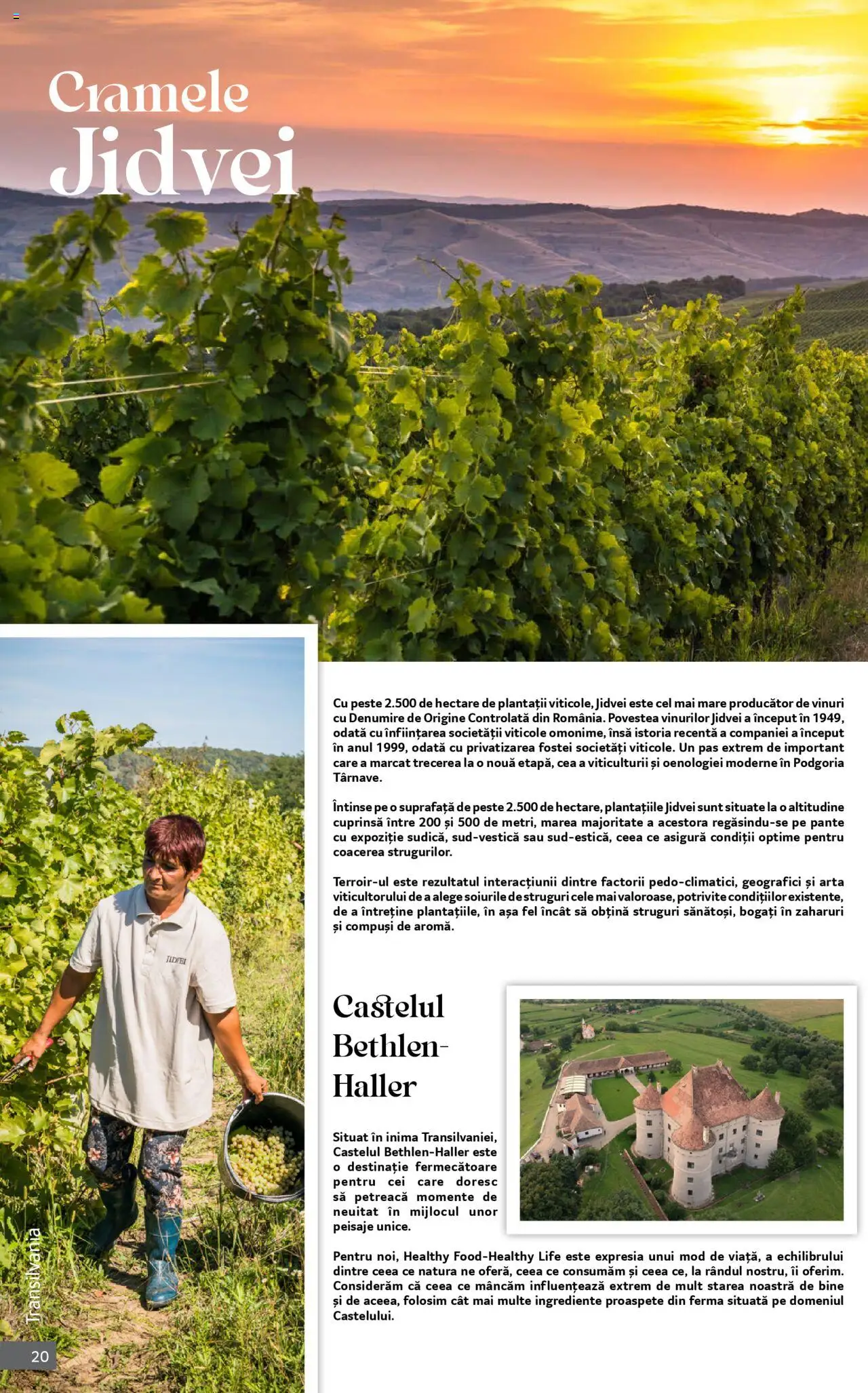 Catalog Selgros 1 - 30 Octombrie 2025 | Pagina 20 | Produse: Struguri, Pește