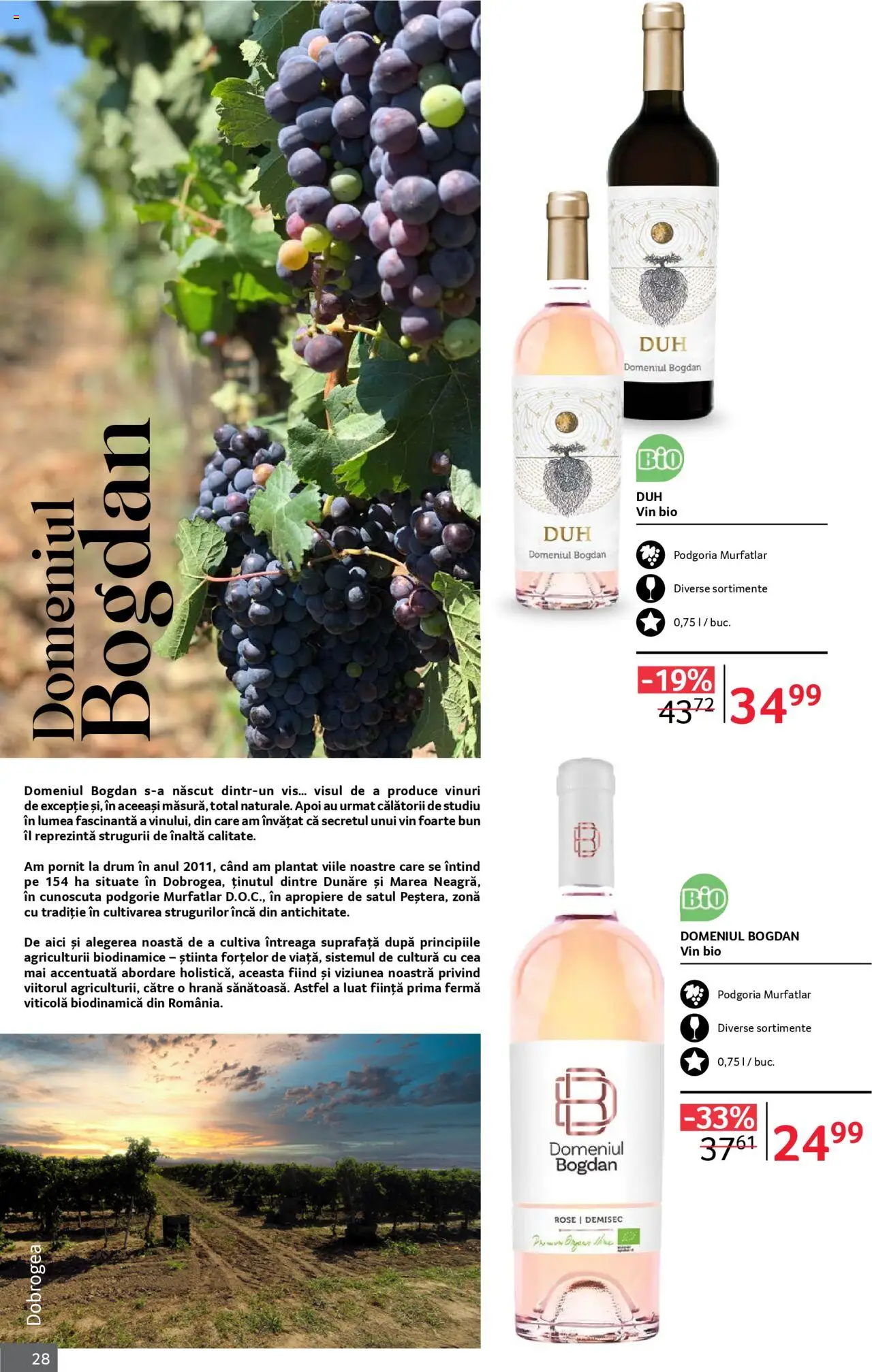 Catalog Selgros 1 - 30 Octombrie 2025 | Pagina 28 | Produse: Şerit ödül, Vin