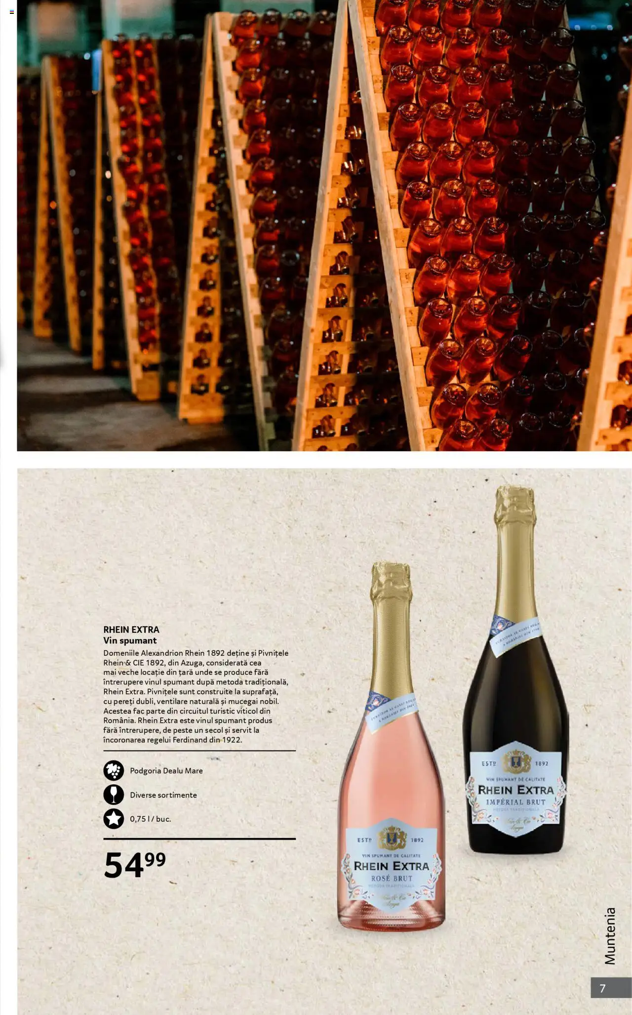 Catalog Selgros 1 - 30 Octombrie 2025 | Pagina 7 | Produse: Vin, Pește