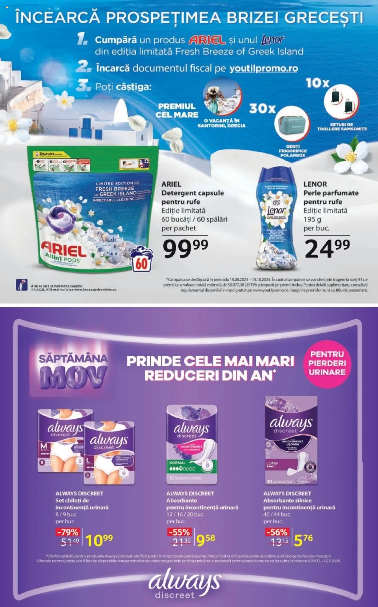 Catalog Selgros 3 - 15 Octombrie 2025 | Pagina 17 | Produse: Akrilik boya, Raft, Parfum, Absorbante