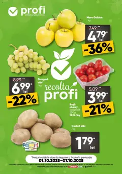 Catalog Profi