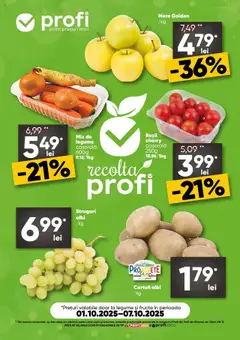 Catalog Profi