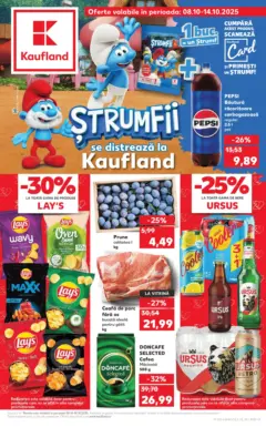 Catalog Kaufland