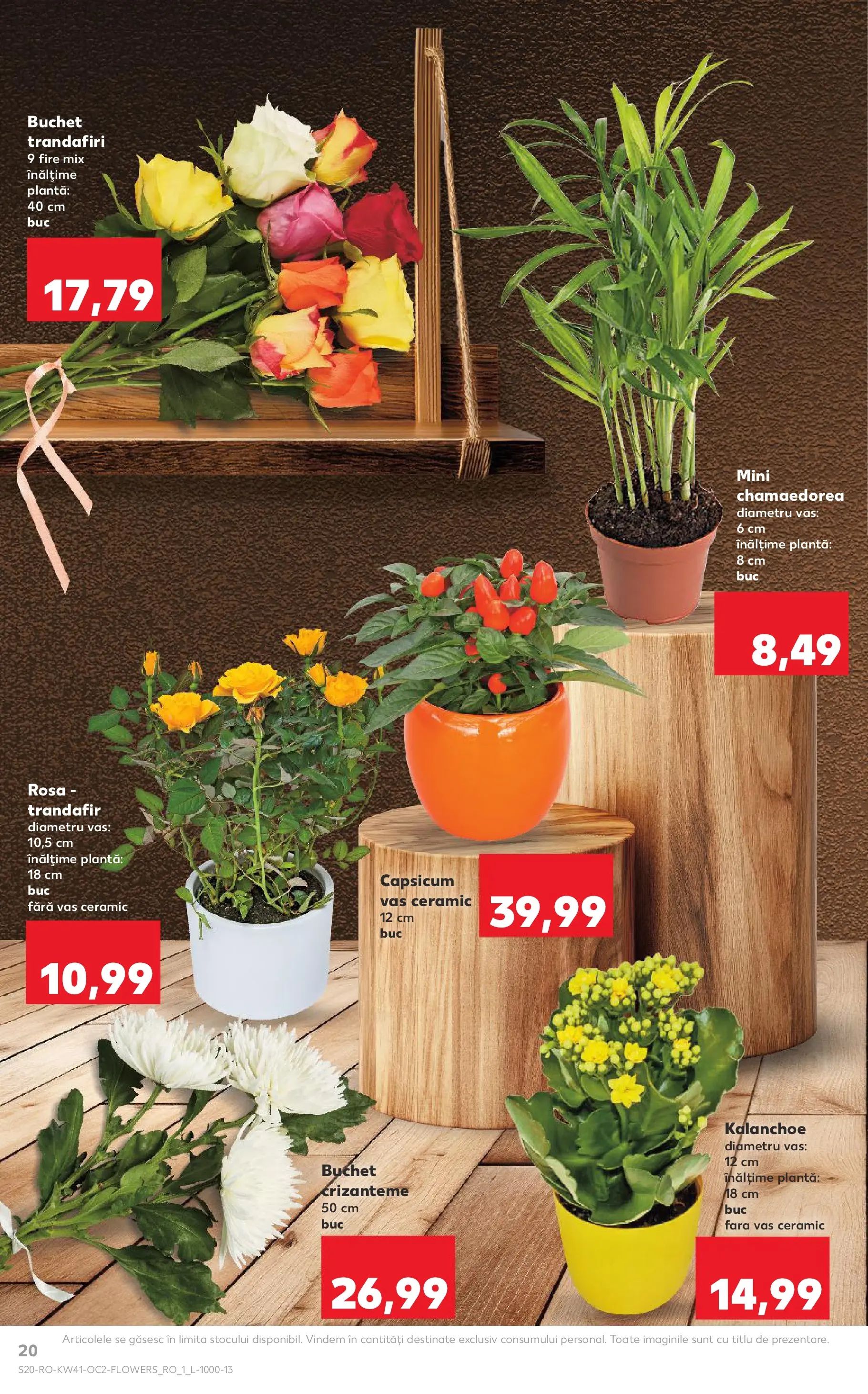 Catalog Kaufland 8 - 13 Octombrie 2025 | Pagina 20 | Produse: Trandafir