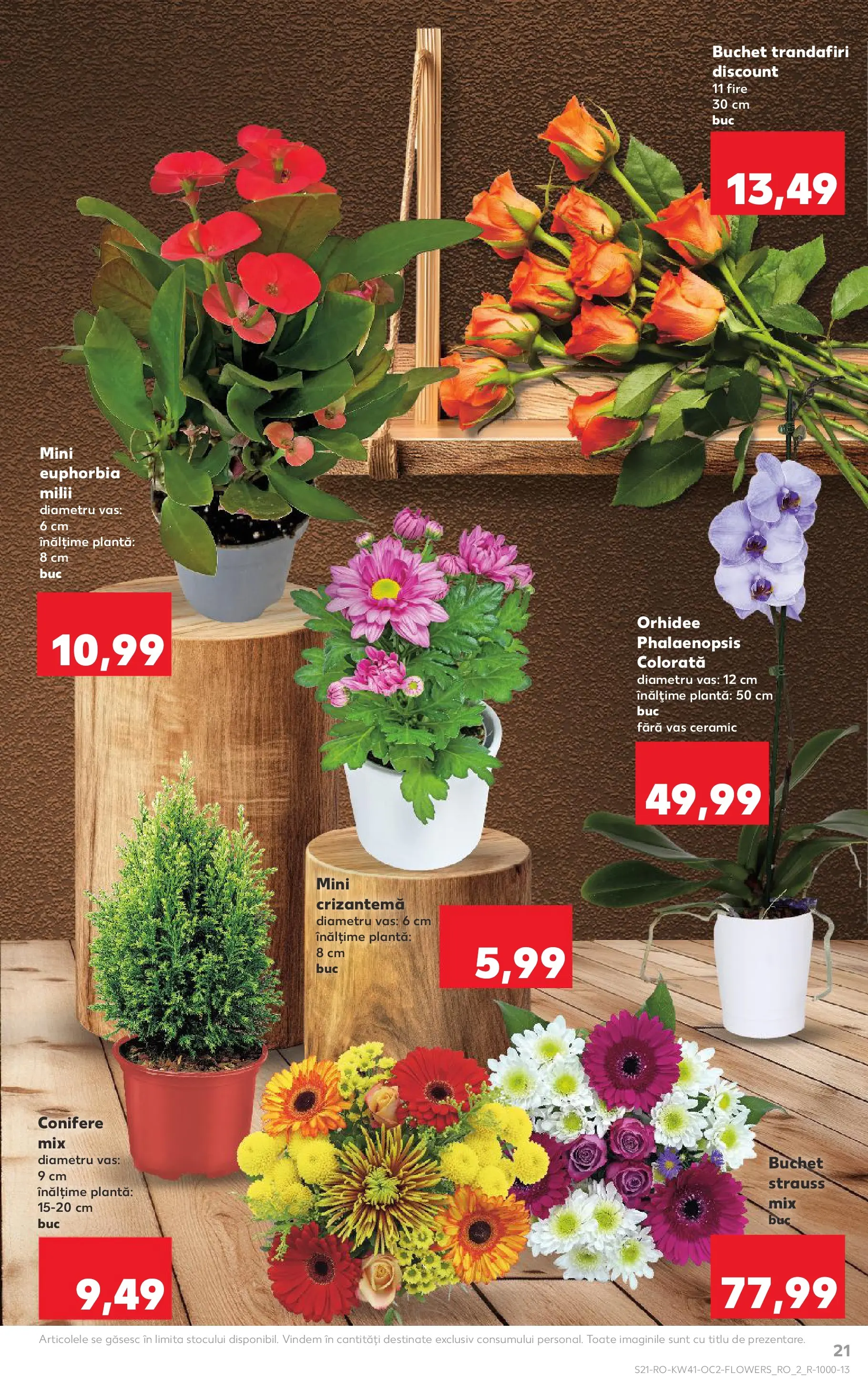 Catalog Kaufland 8 - 13 Octombrie 2025 | Pagina 21 | Produse: Orhidee