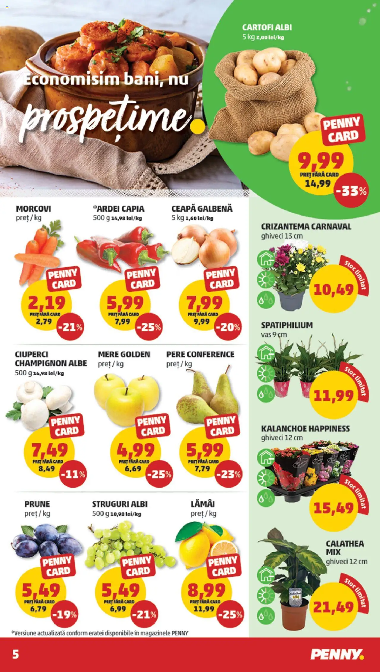 Catalog PENNY Market 8 - 13 Octombrie 2025 | Pagina 5 | Produse: Struguri, Ceapă galbenă, Ghiveci, Ceapă