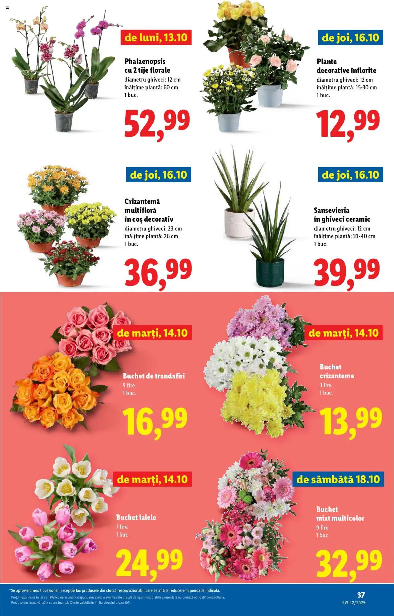 Catalog LIDL 13 - 18 Octombrie 2025 | Pagina 37 | Produse: Coș, Ghiveci