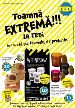 Catalog TEDi
