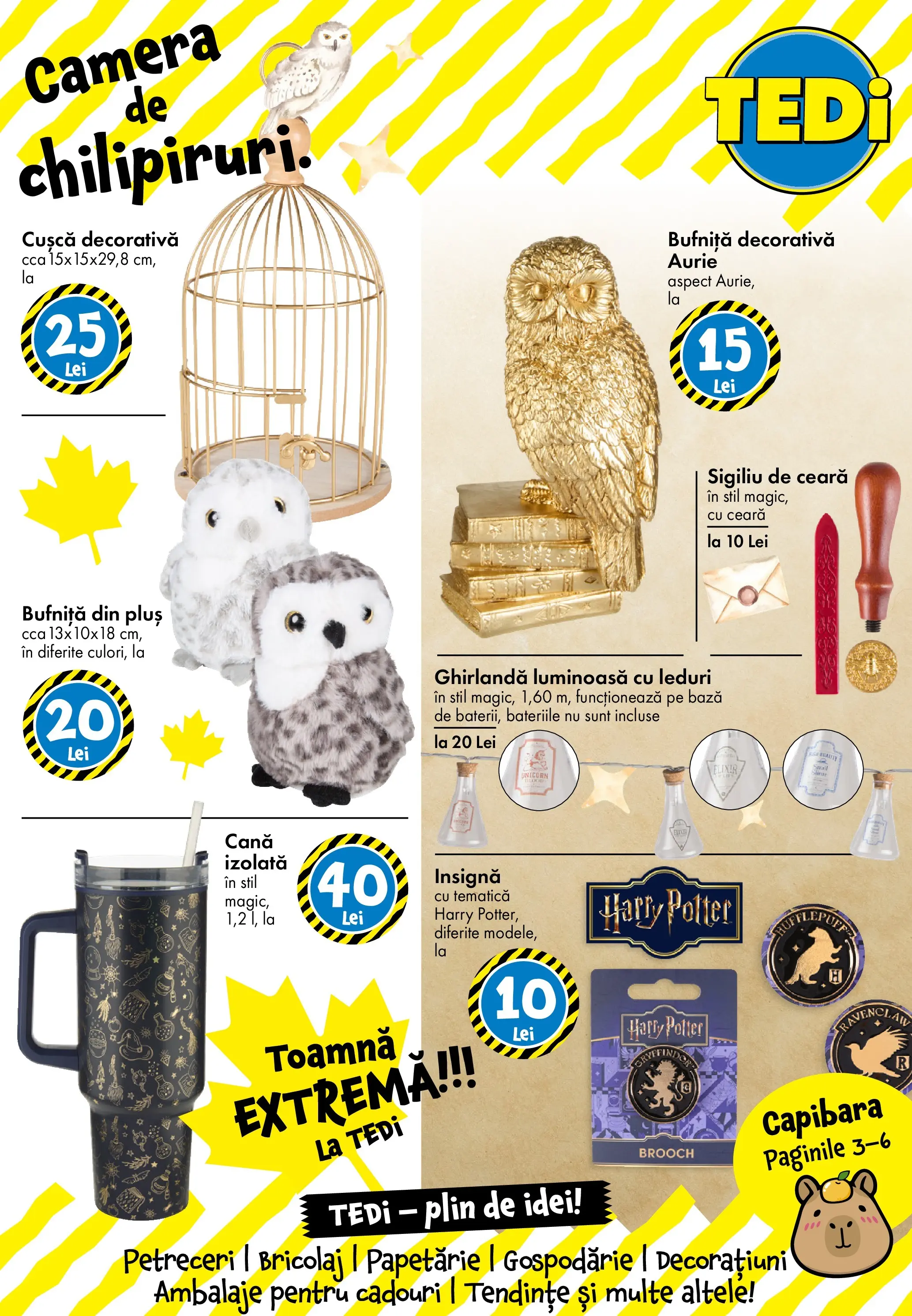 Catalog TEDi 10 - 18 Octombrie 2025 | Pagina 2 | Produse: Cameră