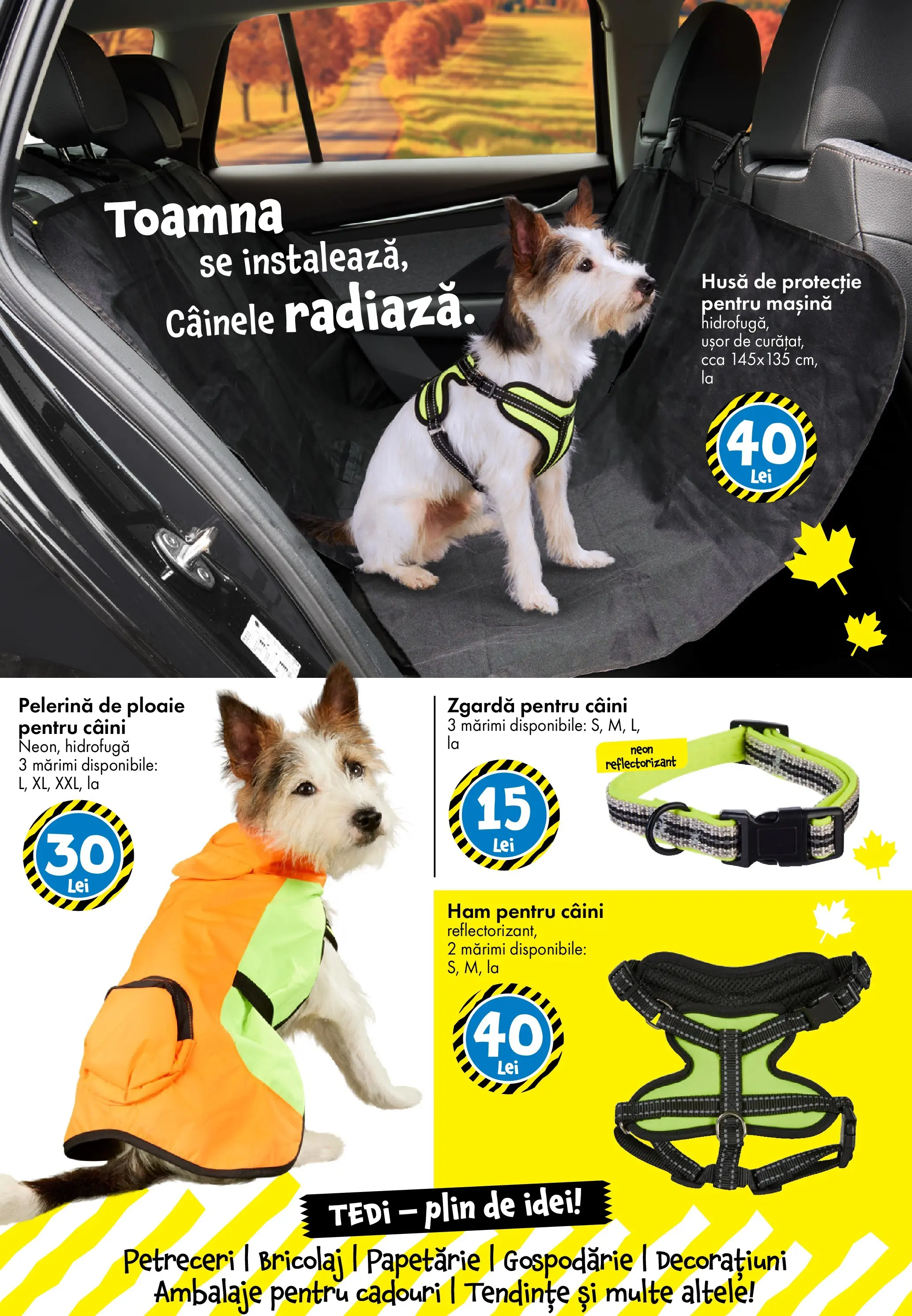 Catalog TEDi 10 - 18 Octombrie 2025 | Pagina 25
