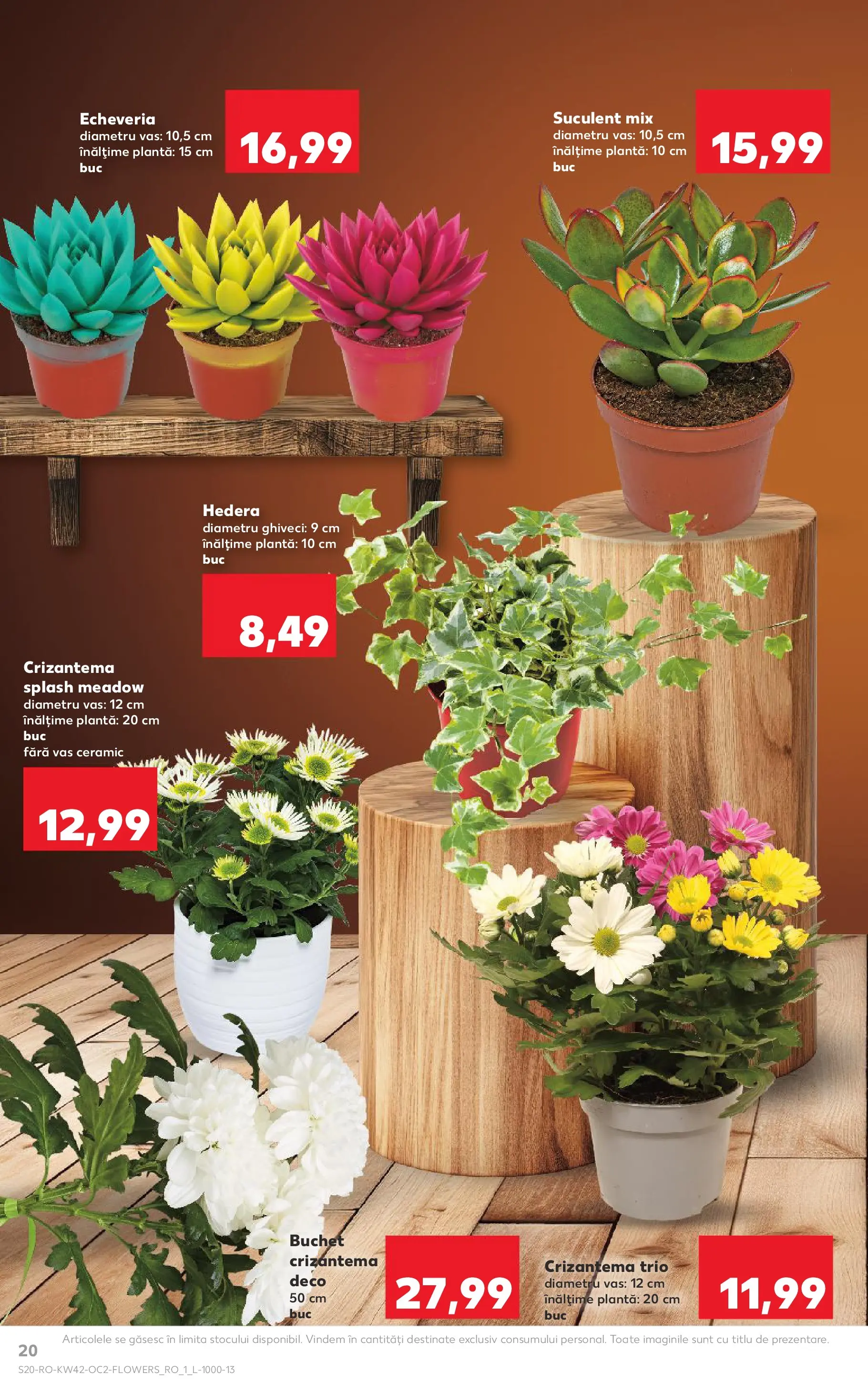 Catalog Kaufland 15 - 20 Octombrie 2025 | Pagina 20 | Produse: Ghiveci