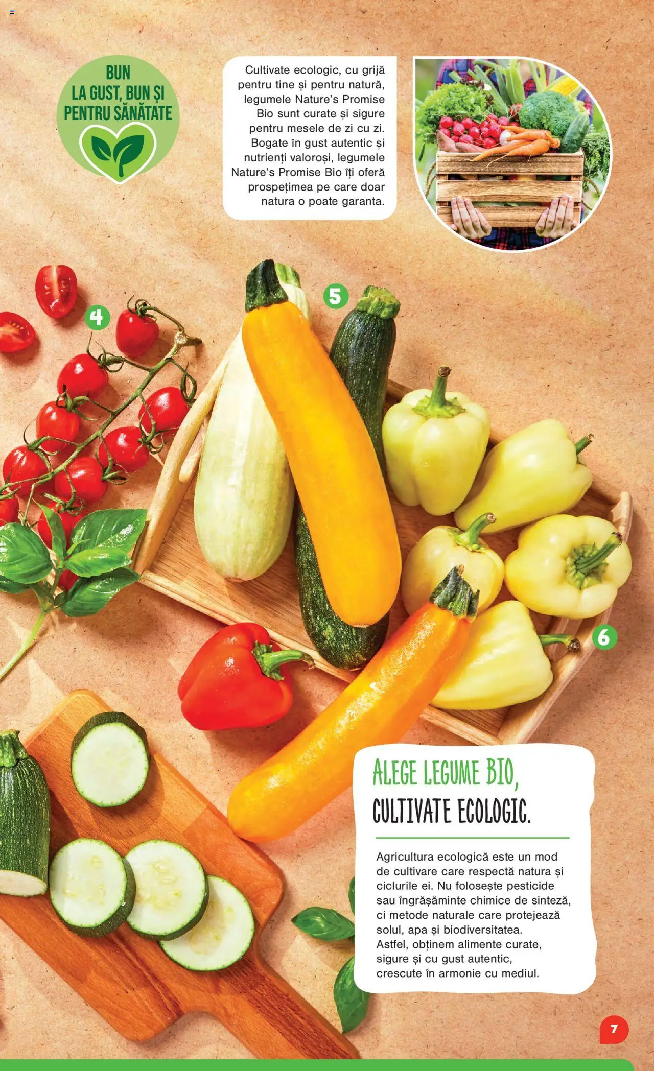 Catalog Mega Image 16 Octombrie - 11 Noiembrie 2025 | Pagina 7 | Produse: Şerit ödül, Apă, Legume