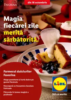Catalog LIDL