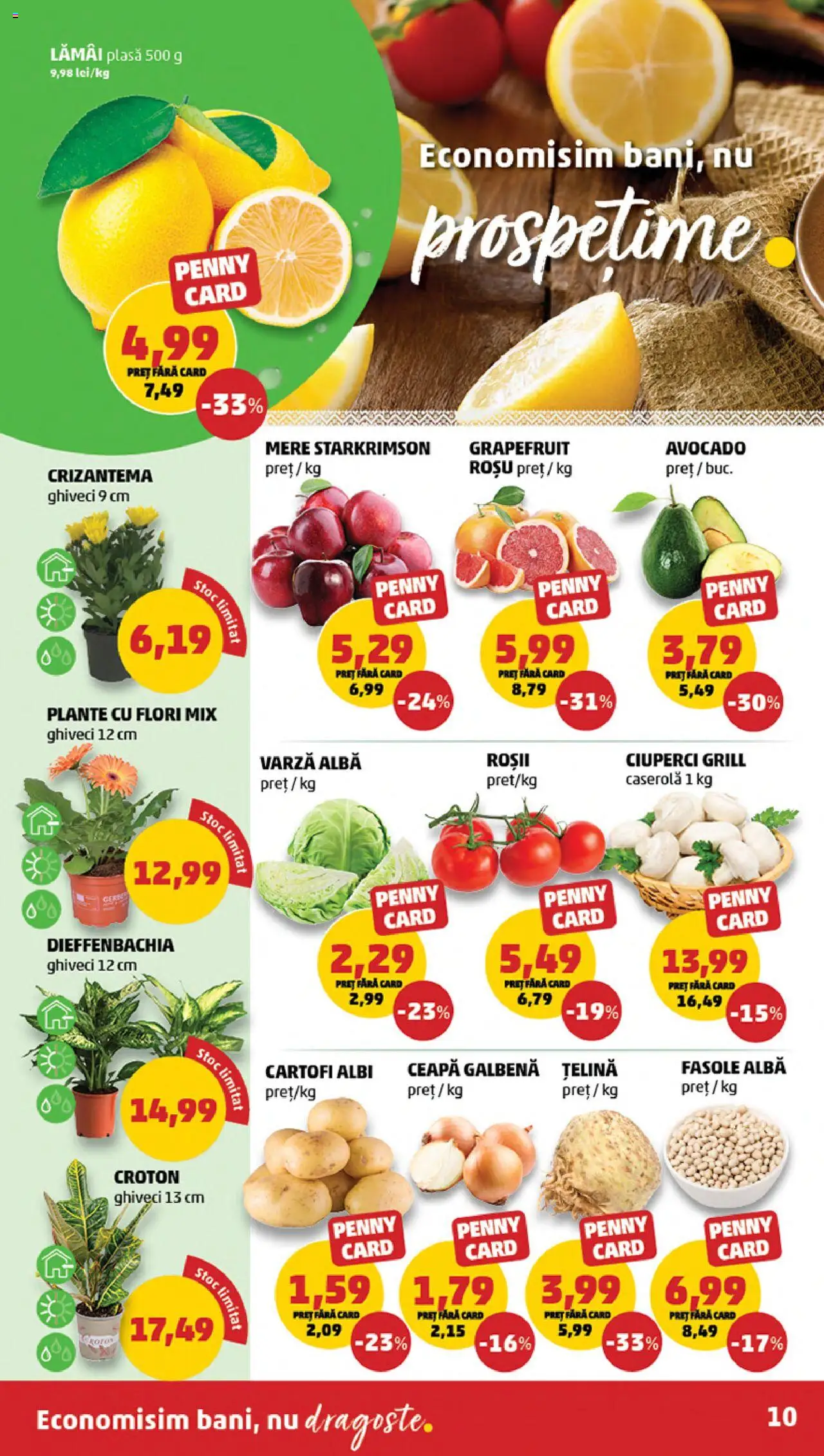 Catalog PENNY Market 15 - 20 Octombrie 2025 | Pagina 10 | Produse: Ceapă galbenă, Ciuperci, Fasole albă, Ceapă