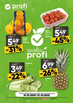 Catalog Profi
