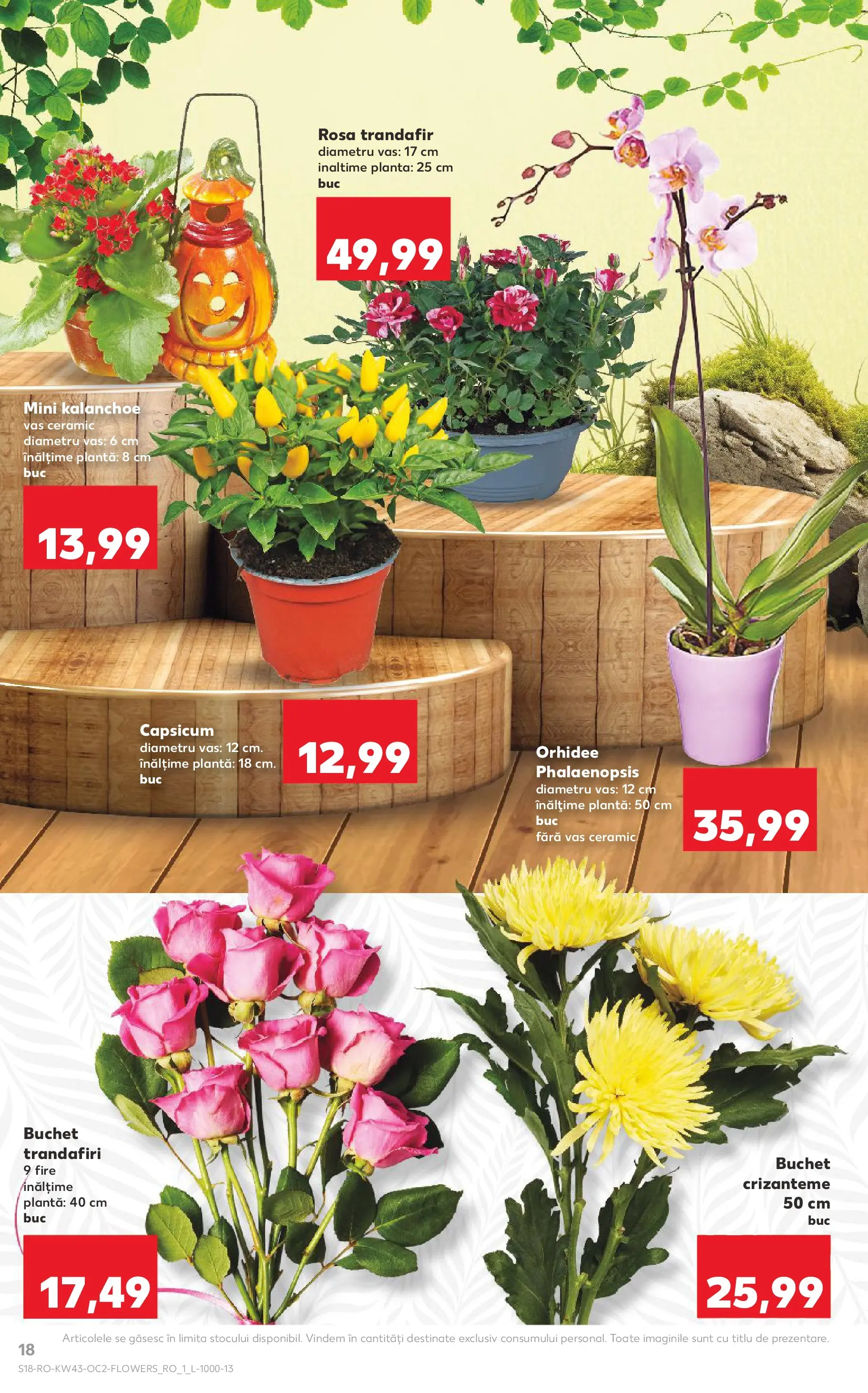 Catalog Kaufland 22 - 27 Octombrie 2025 | Pagina 18 | Produse: Trandafir, Orhidee