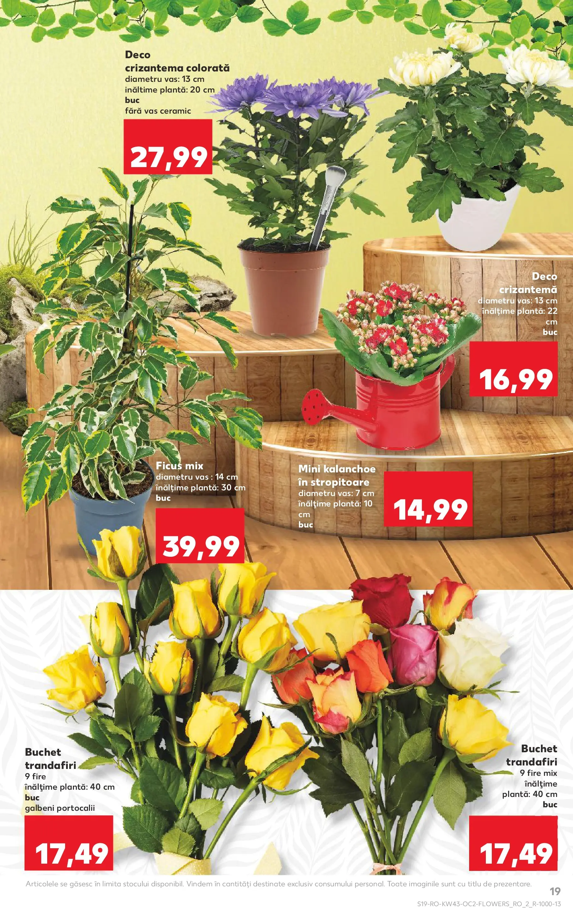 Catalog Kaufland 22 - 27 Octombrie 2025 | Pagina 19