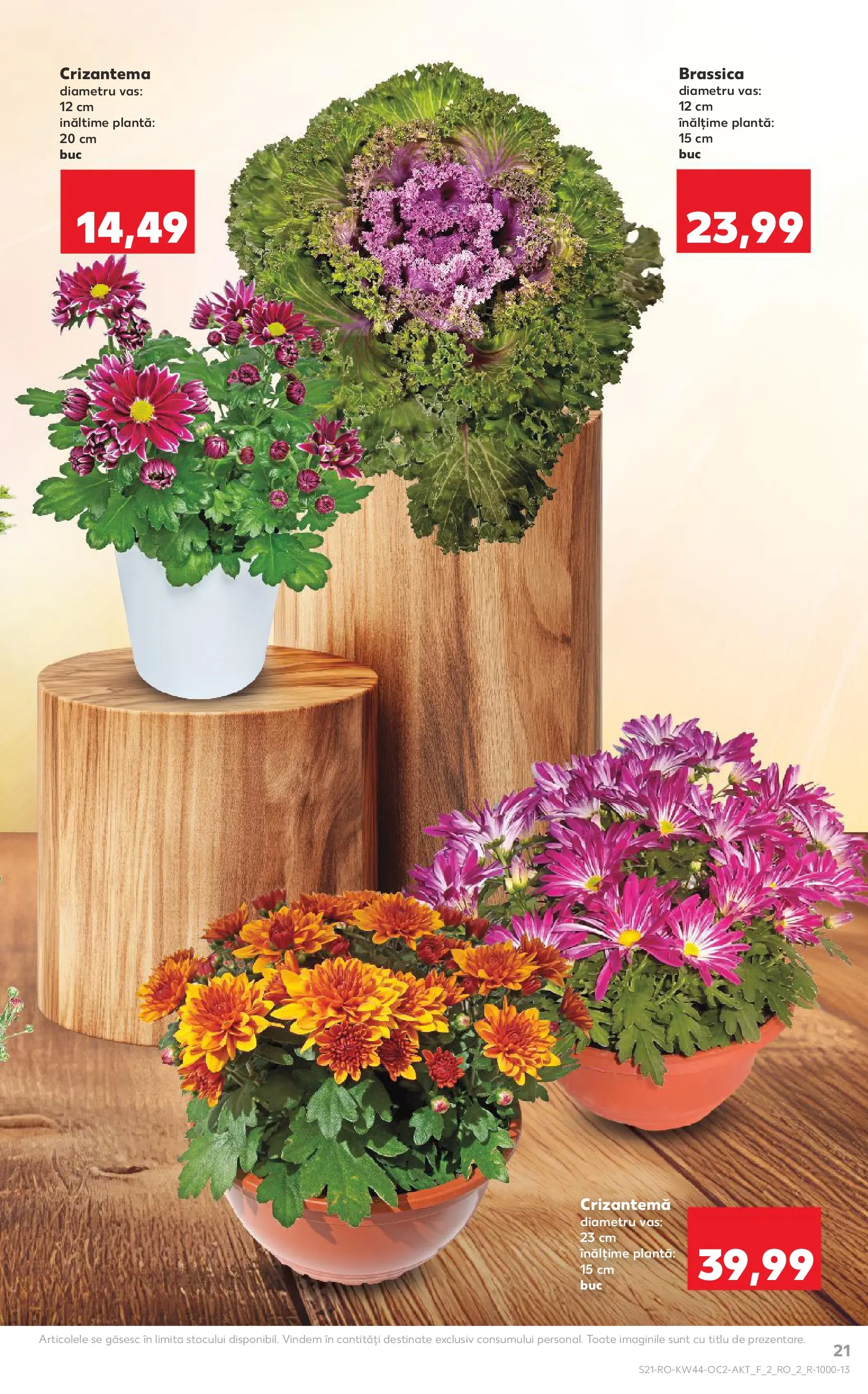 Catalog Kaufland 29 Octombrie - 3 Noiembrie 2025 | Pagina 21