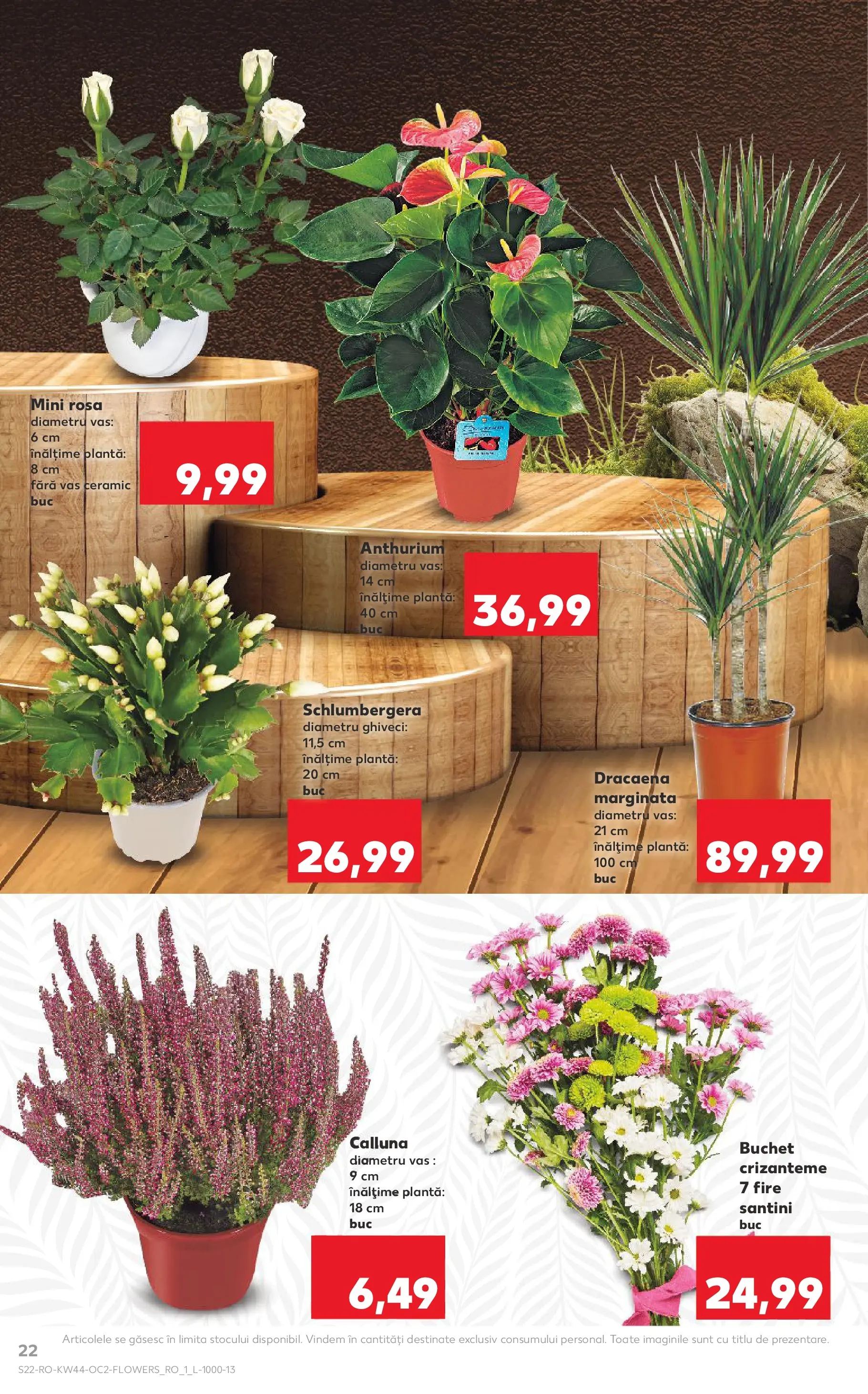 Catalog Kaufland 29 Octombrie - 3 Noiembrie 2025 | Pagina 22 | Produse: Ghiveci