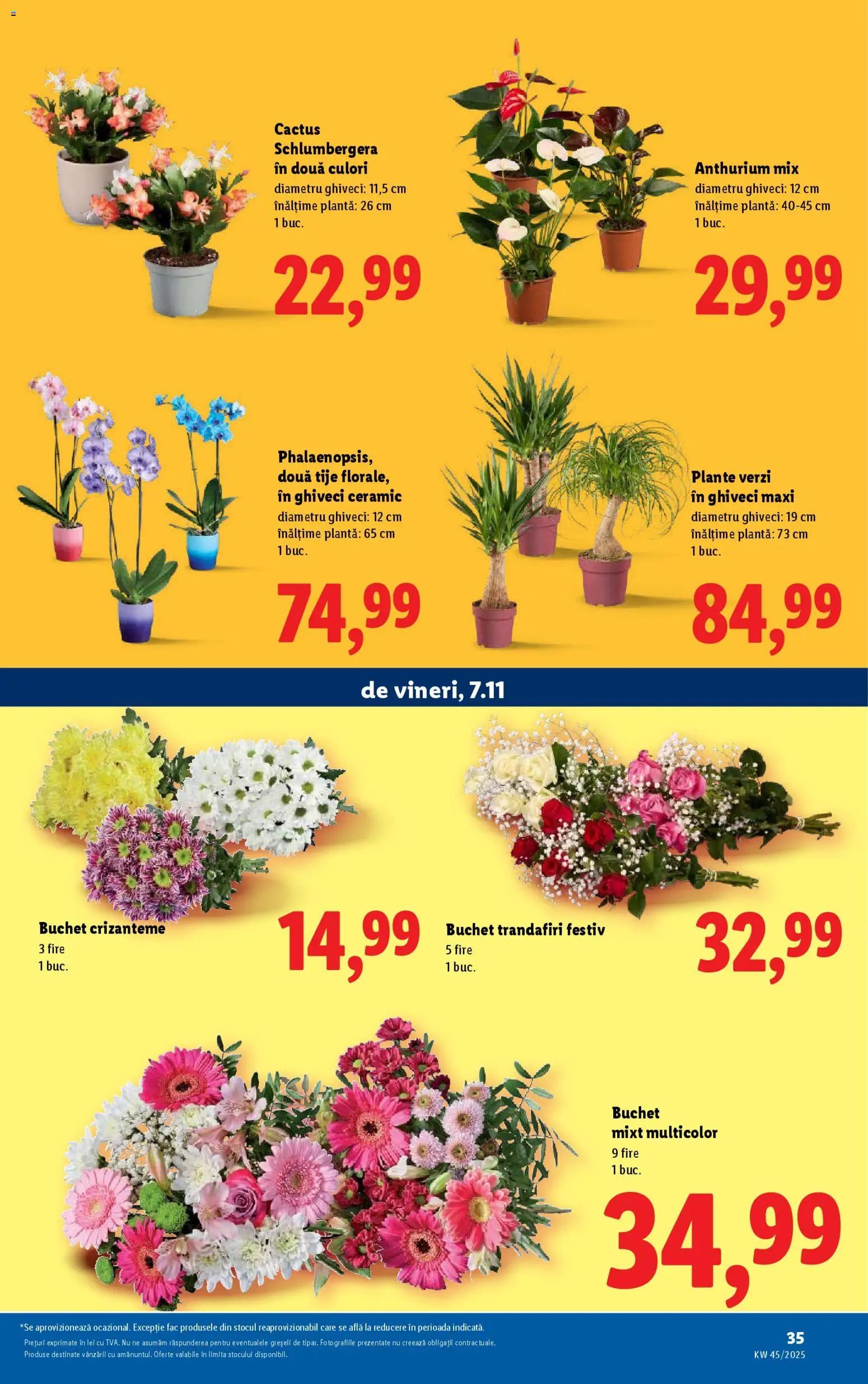 Catalog LIDL 3 - 8 Noiembrie 2025 | Pagina 35 | Produse: Ghiveci