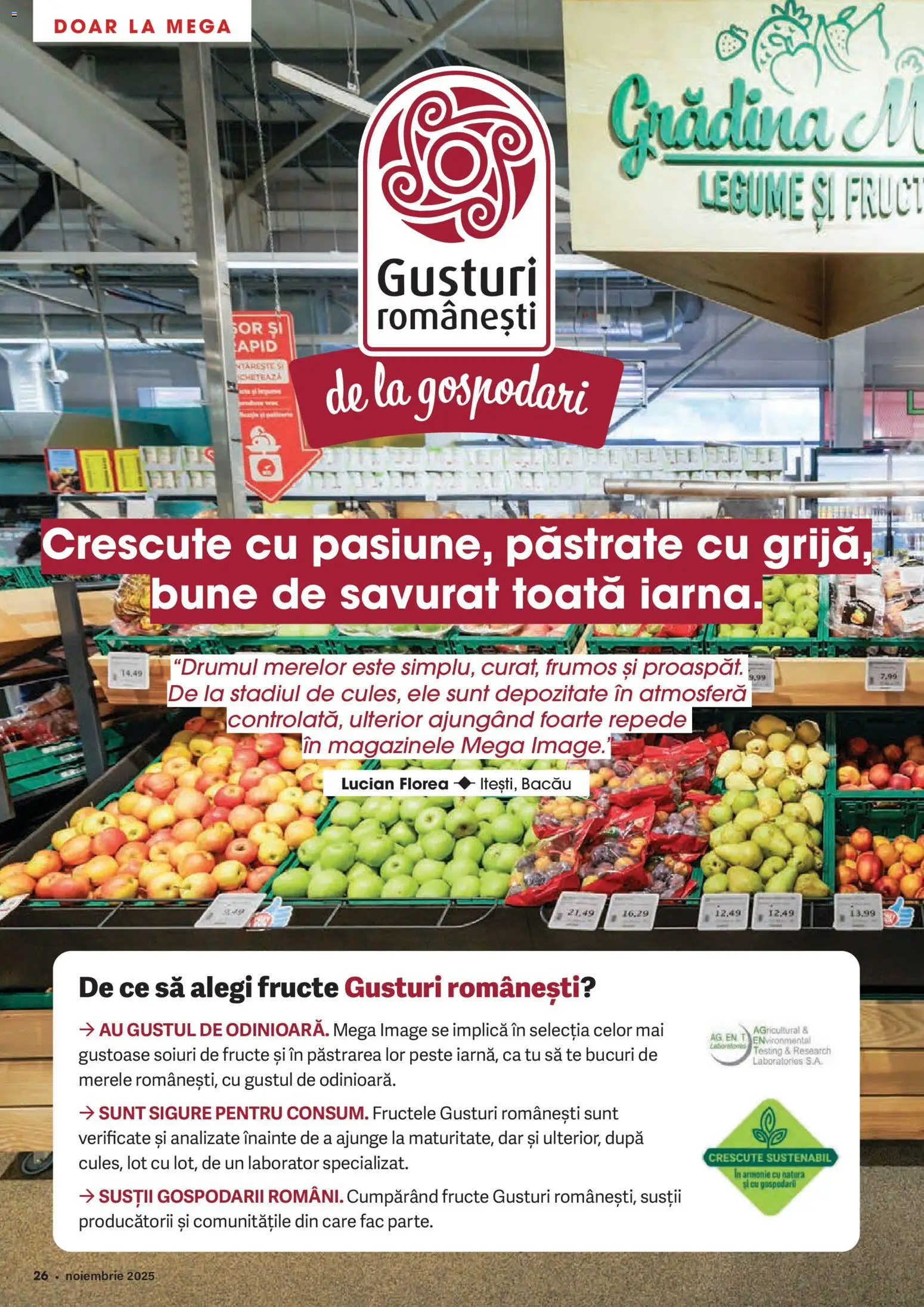 Catalog Mega Image 30 Octombrie - 24 Noiembrie 2025 | Pagina 26 | Produse: Pește, Legume, Fructe