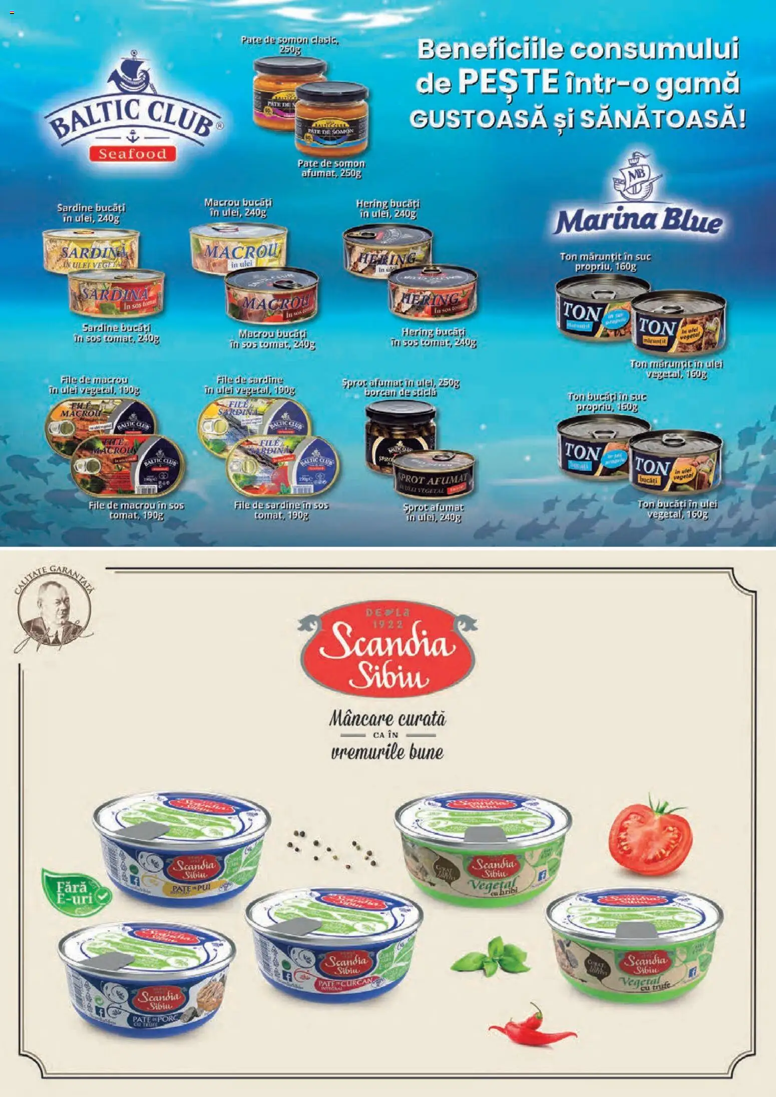 Catalog Mega Image 30 Octombrie - 24 Noiembrie 2025 | Pagina 8 | Produse: Hacıyatmaz Kedi Oyuncağı, Pate, Borcan, Sos