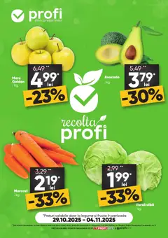 Catalog Profi